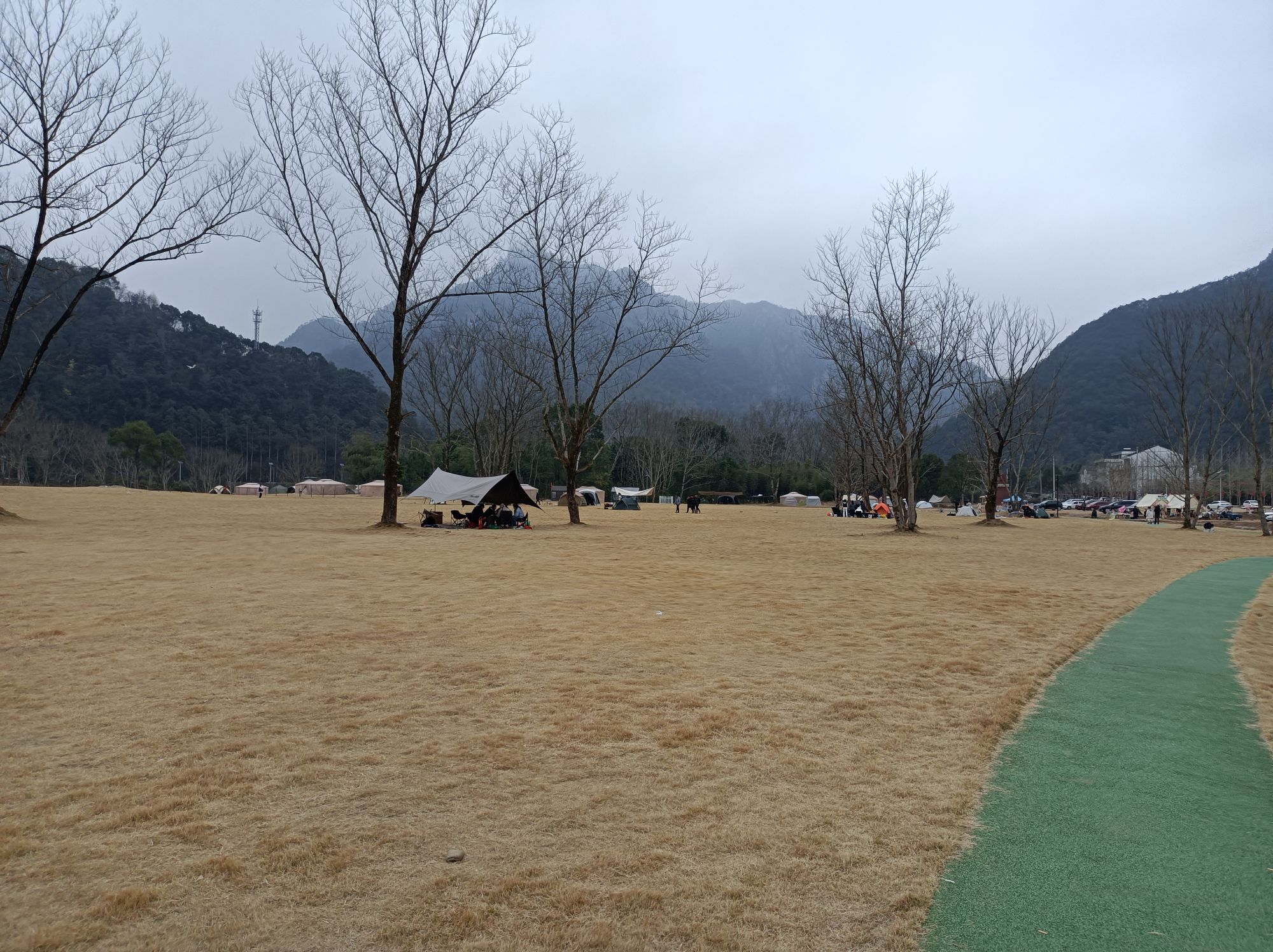 温州市平阳县南雁镇笠湖村宠物竞技公园旅行图片 2