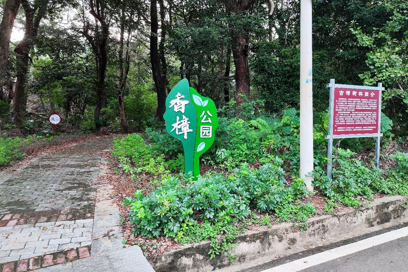 岩头香樟公园旅行图片 1