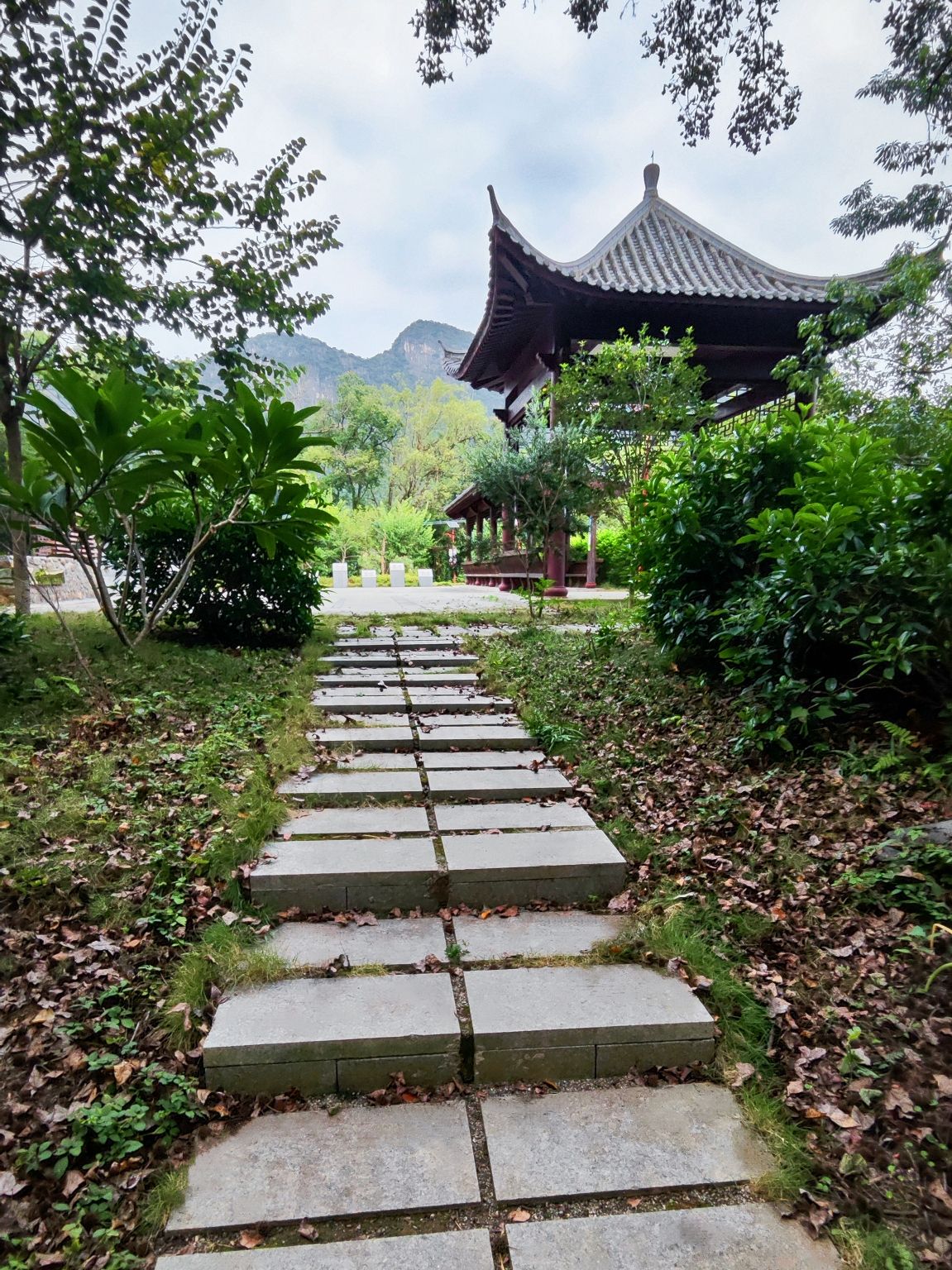 岩头香樟公园旅行图片 3