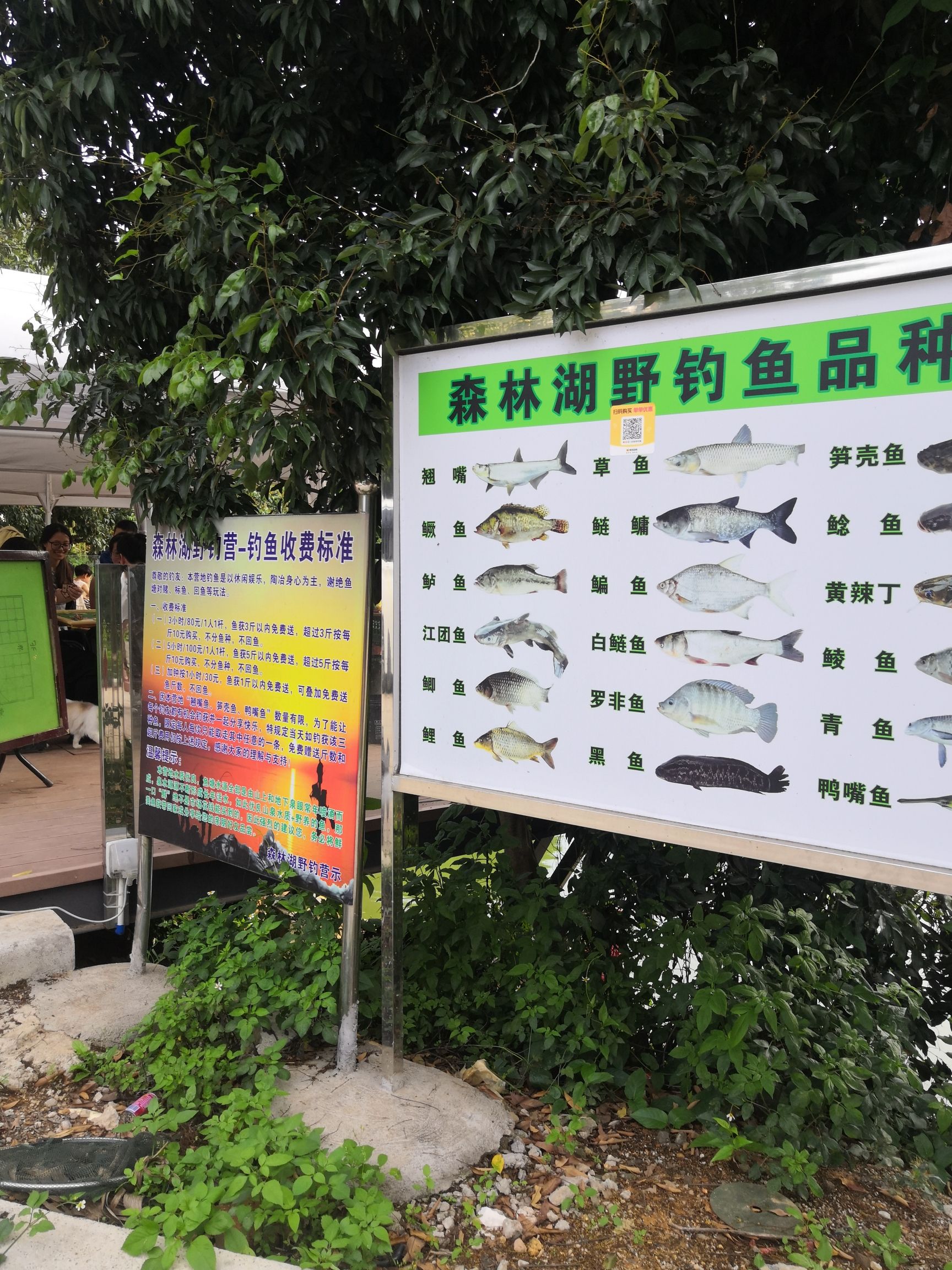 森林湖野钓营