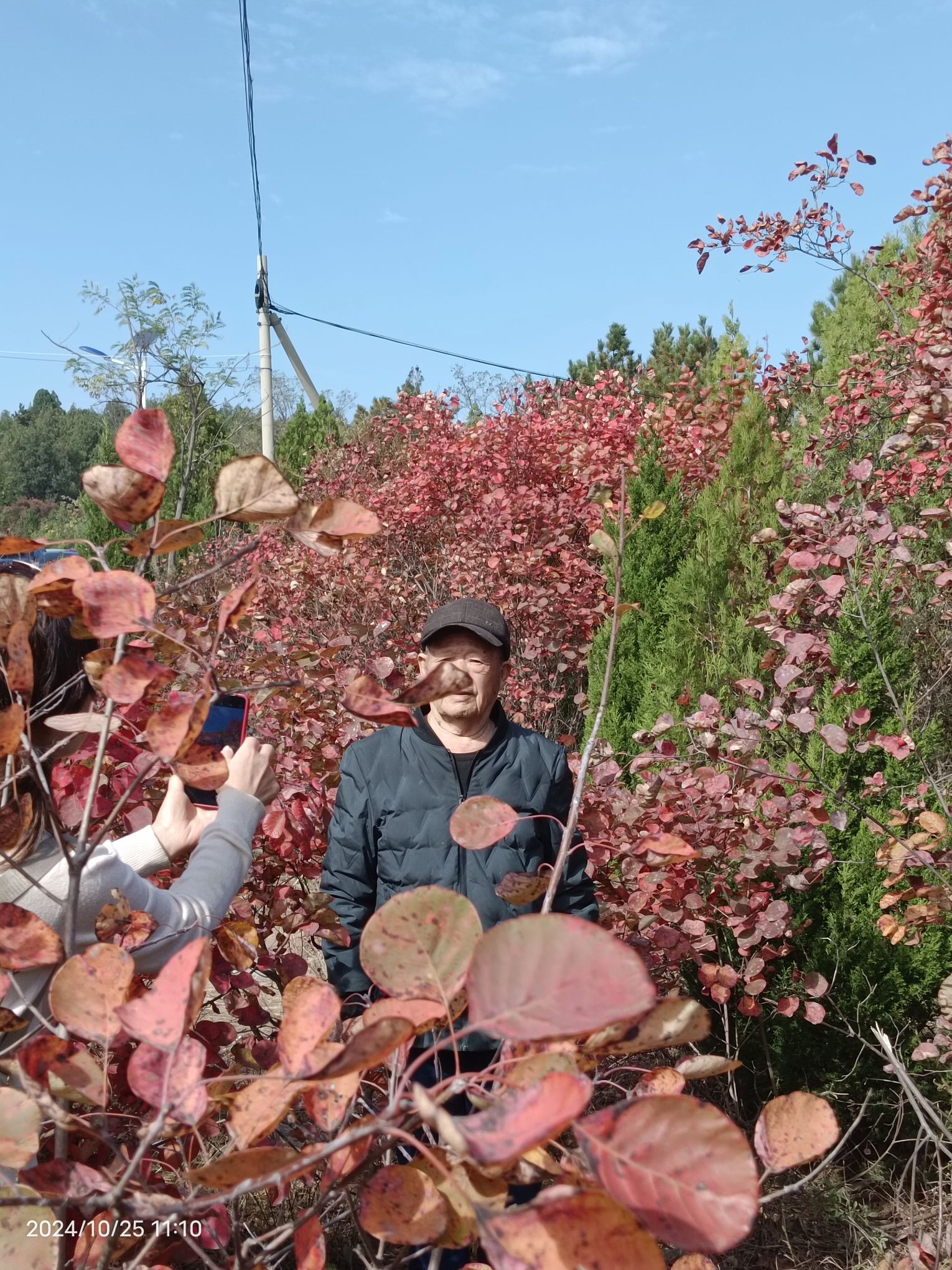 大底小长城红叶旅行图片 3