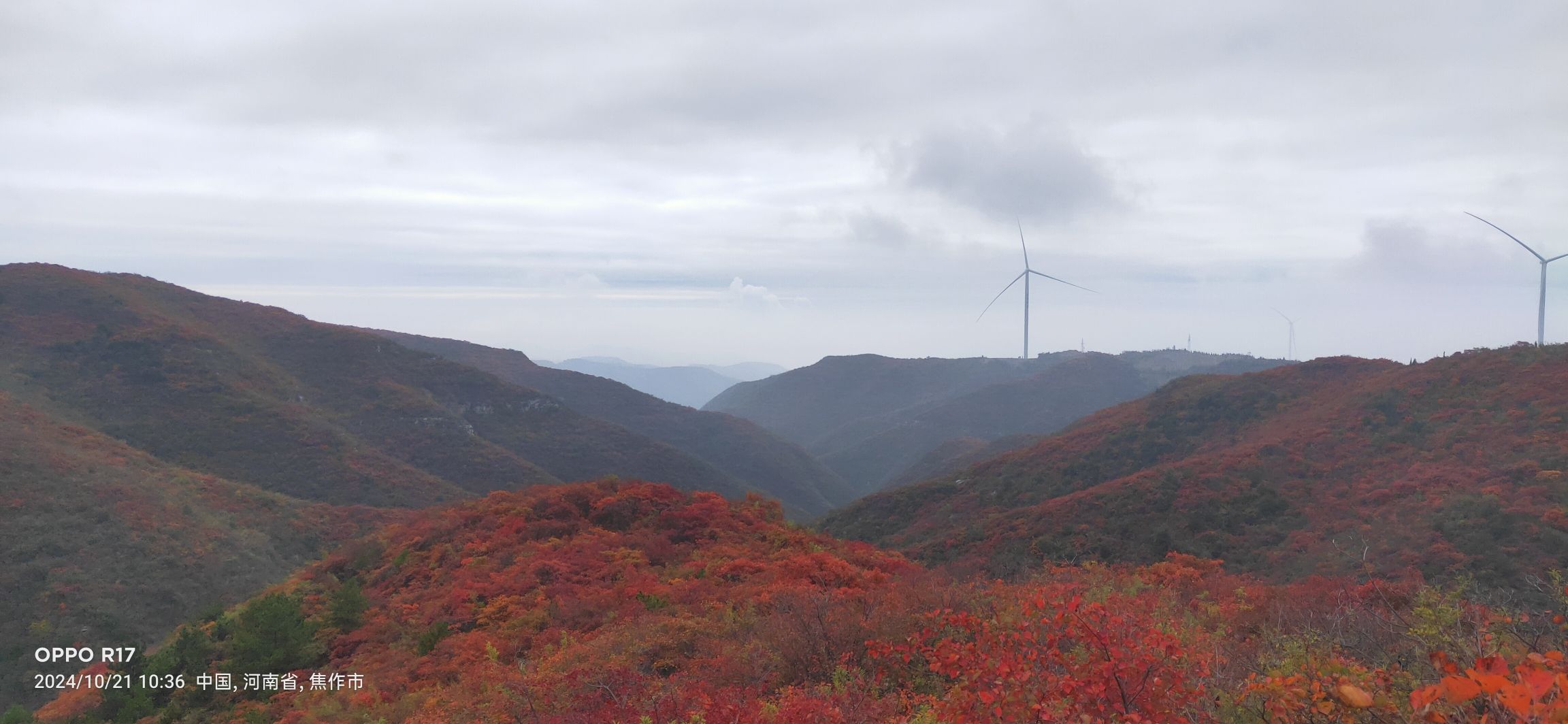 大底小长城红叶旅行图片 1