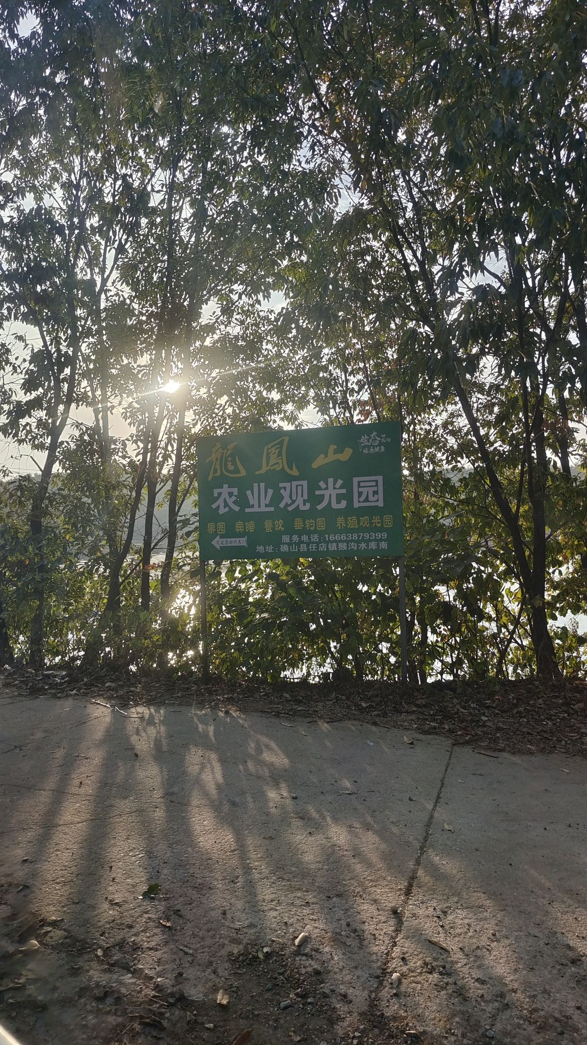 龙凤山农业观光园旅行图片 2