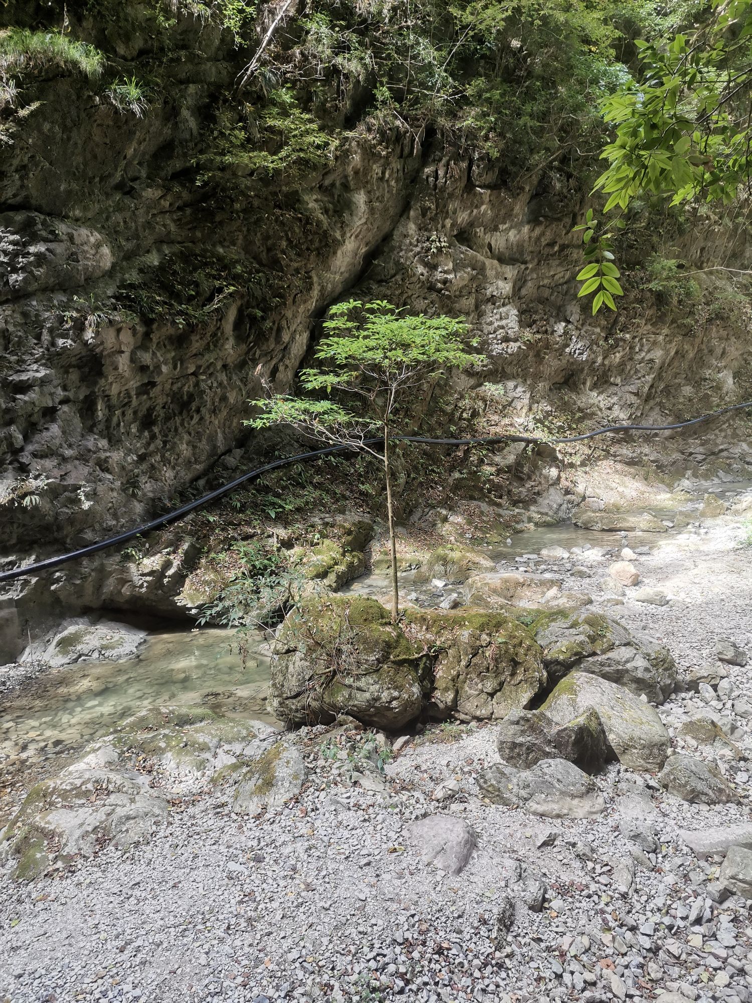 尧治河旅行图片 1