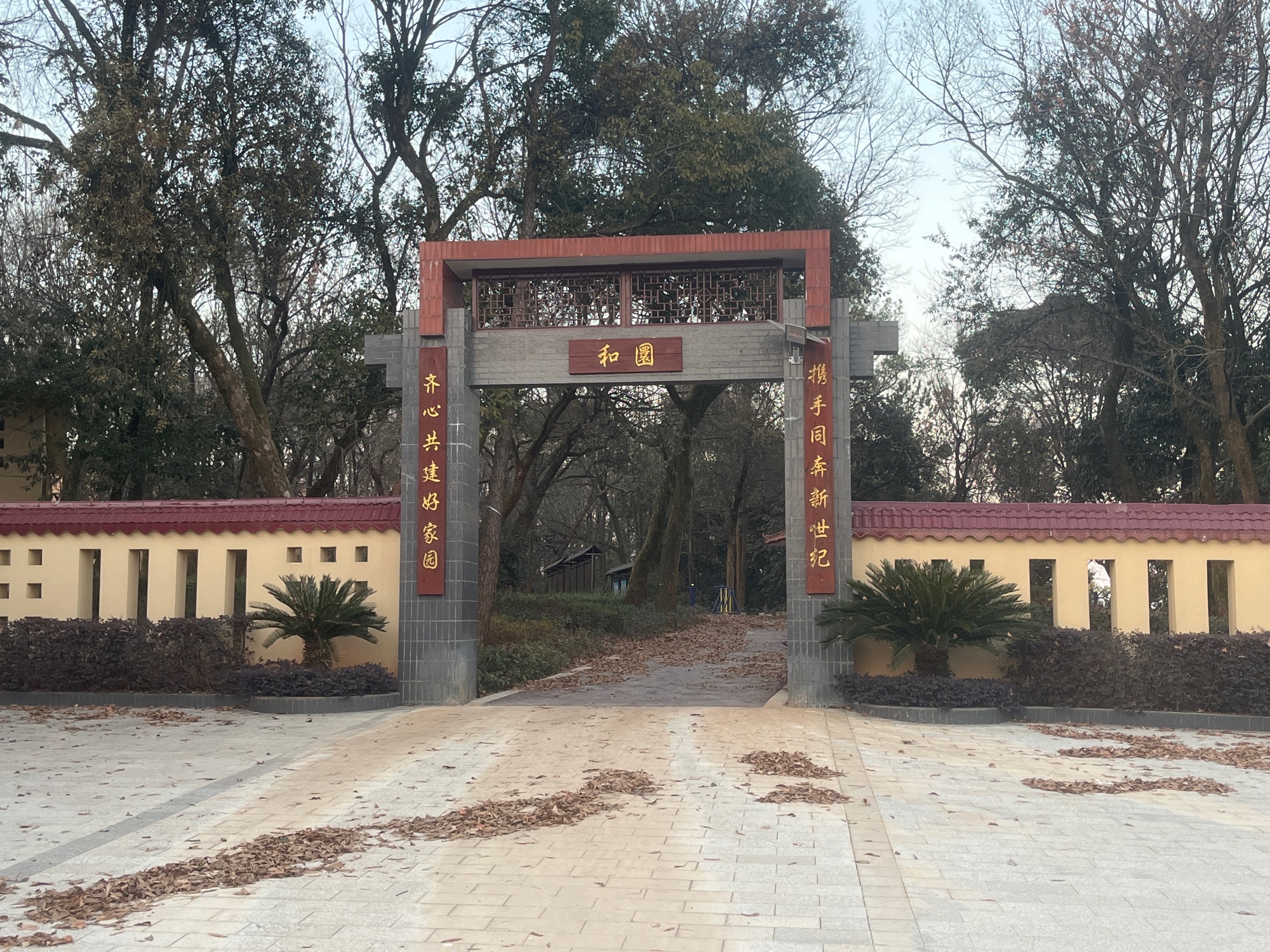 临川区罗湖镇龙岗村陈家组乡村森林公园旅行图片 2