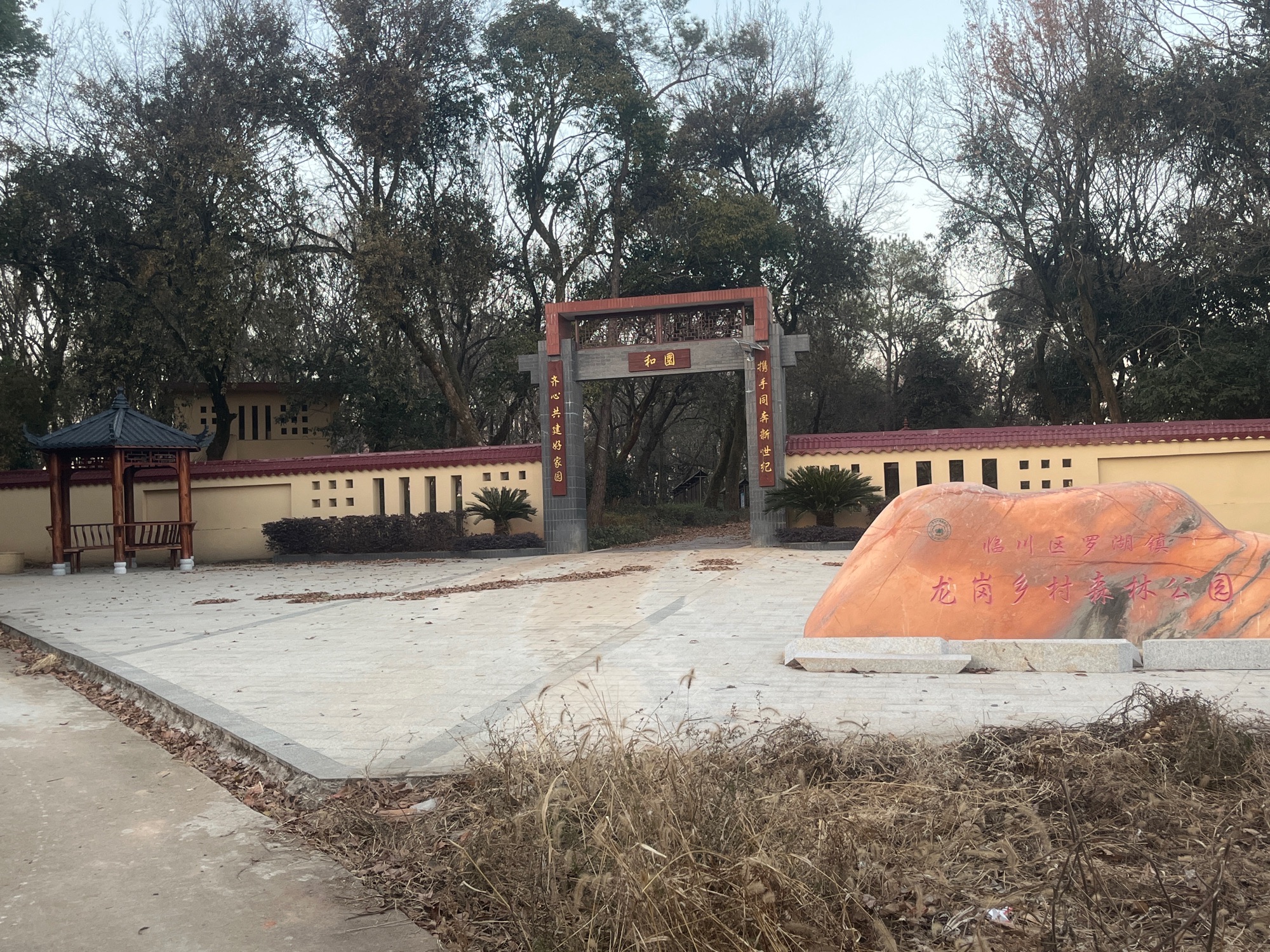 临川区罗湖镇龙岗村陈家组乡村森林公园旅行图片 3