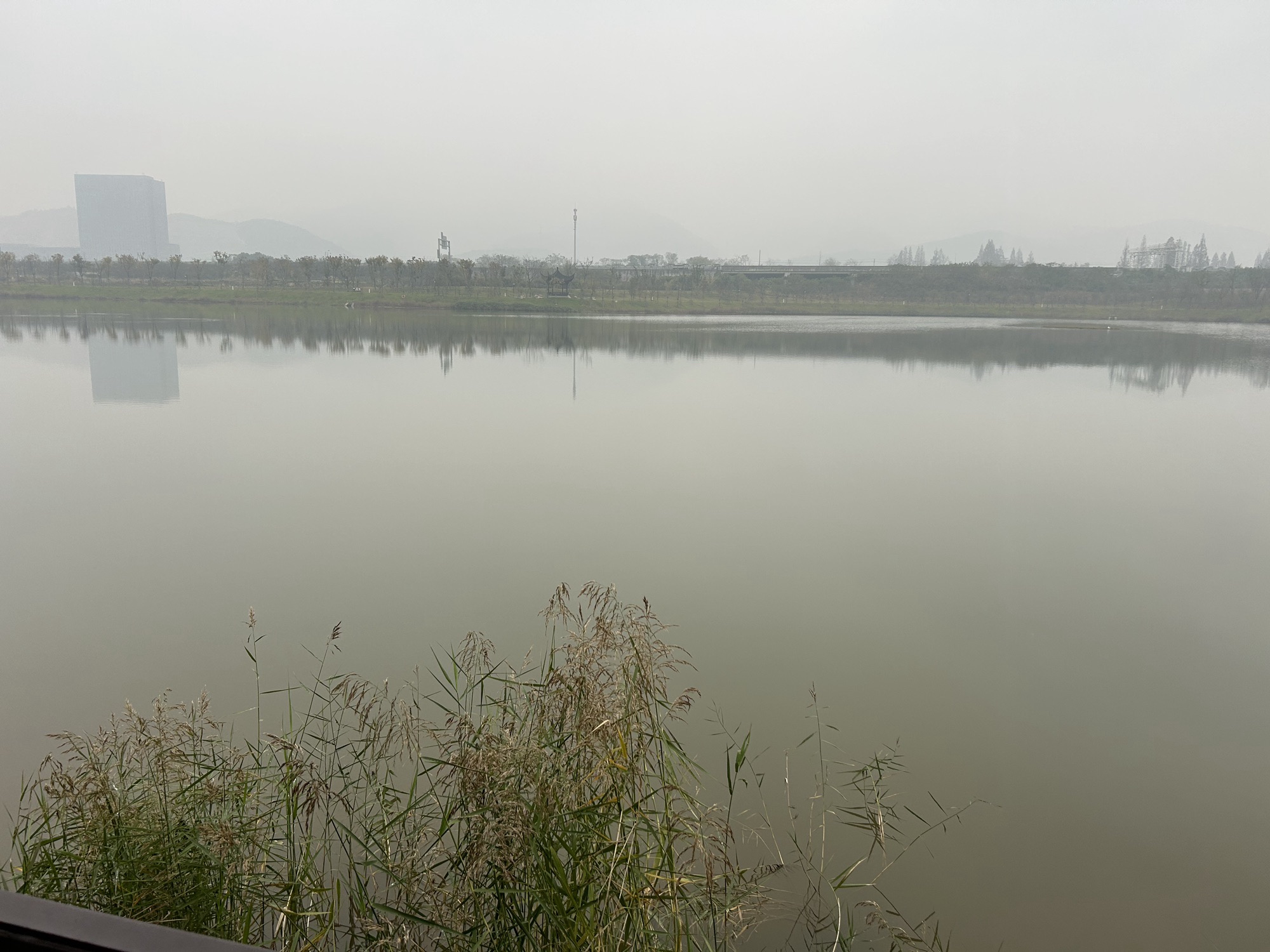 栖湖公园旅行图片 3