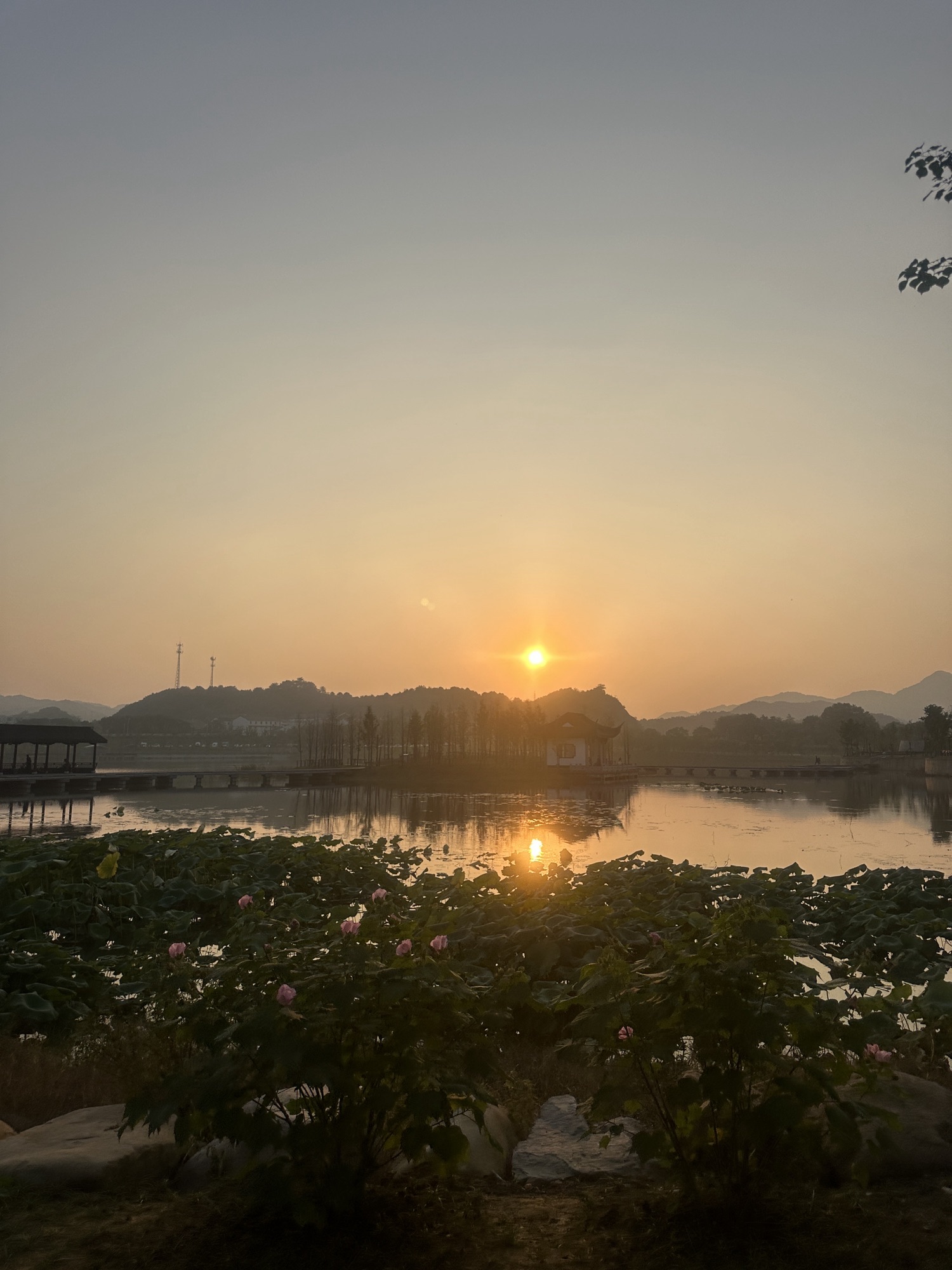 栖湖公园旅行图片 1