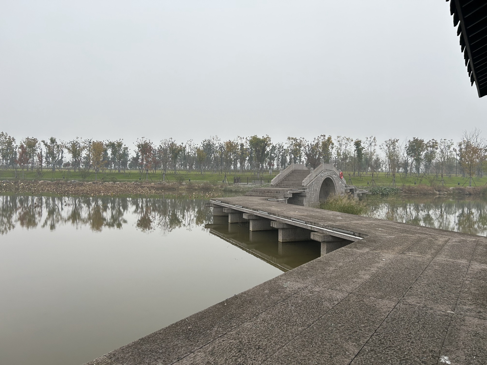 栖湖公园旅行图片 1