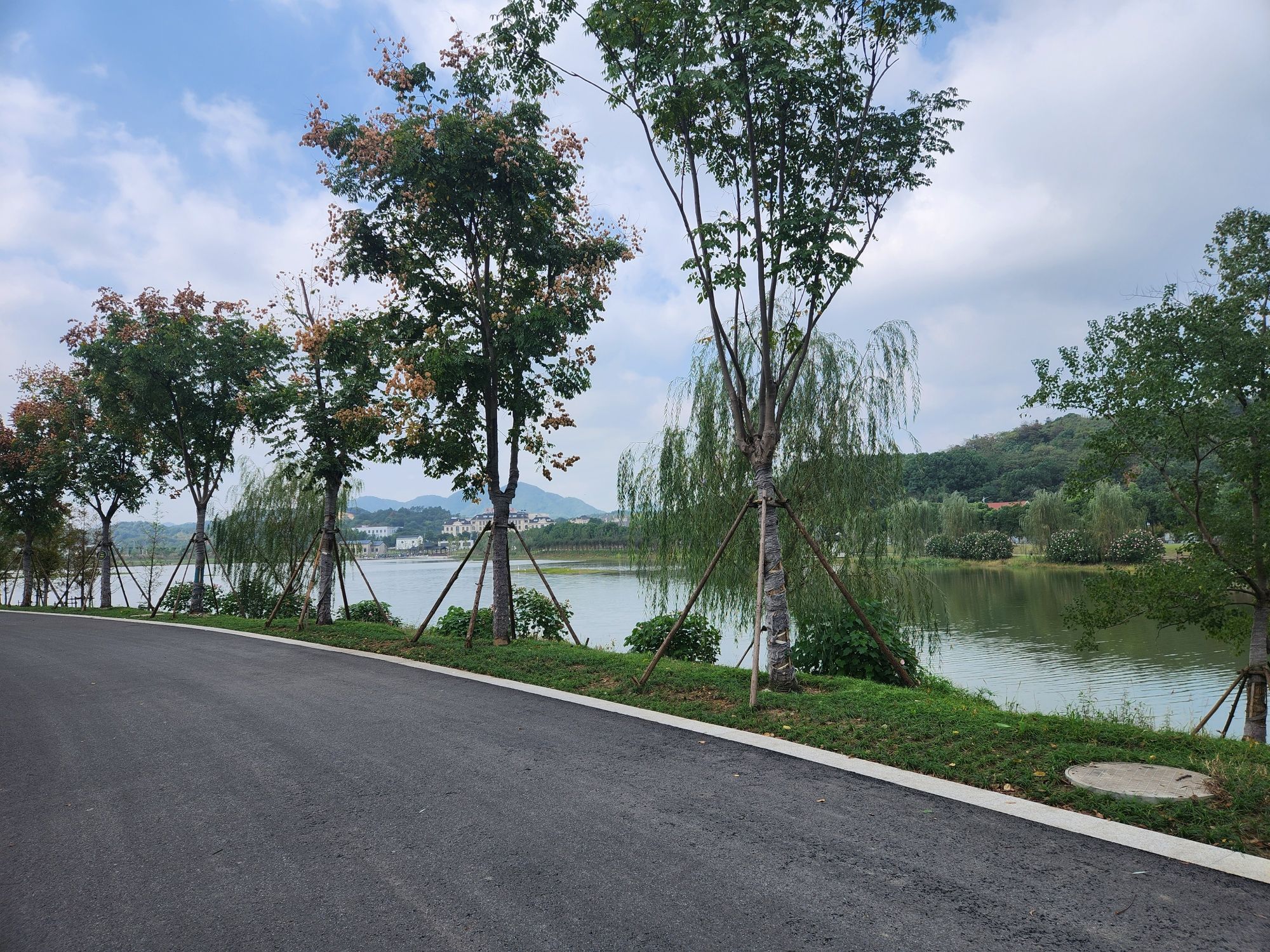 栖湖公园旅行图片 1