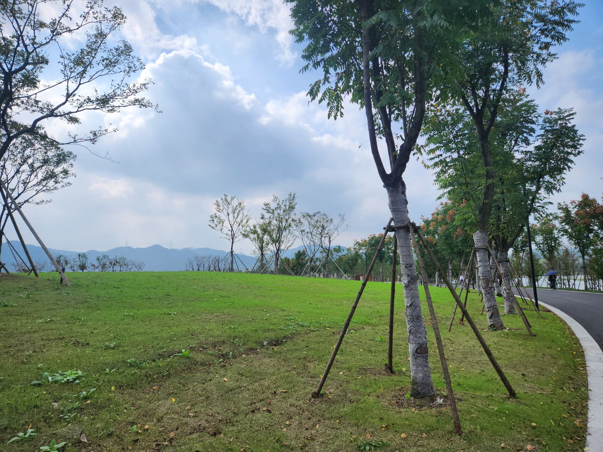 栖湖公园旅行图片 2