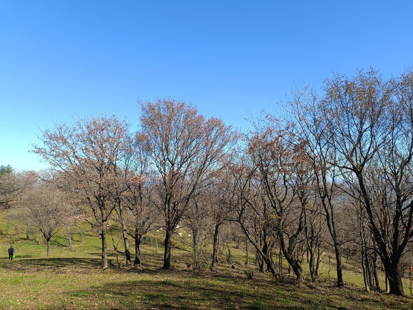 四方山山顶最高点旅行图片 3