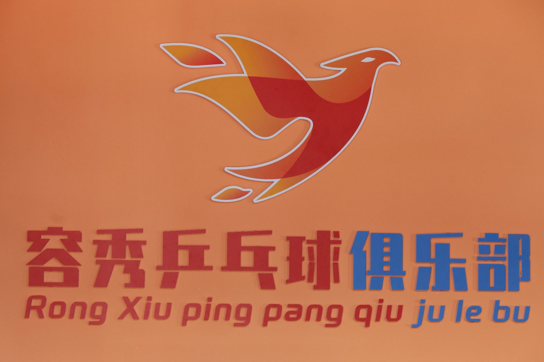 场地封面-容秀乒乓球俱乐部(巴南万达店)