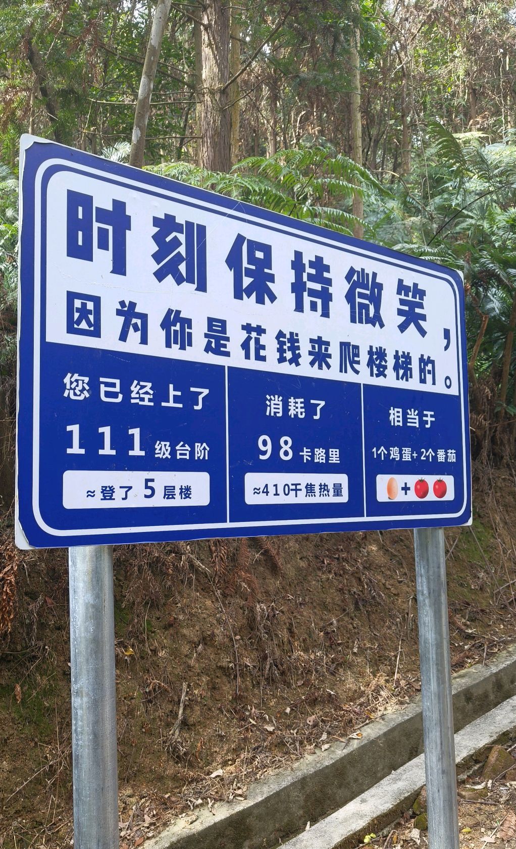 佛山第一峰旅行图片 3