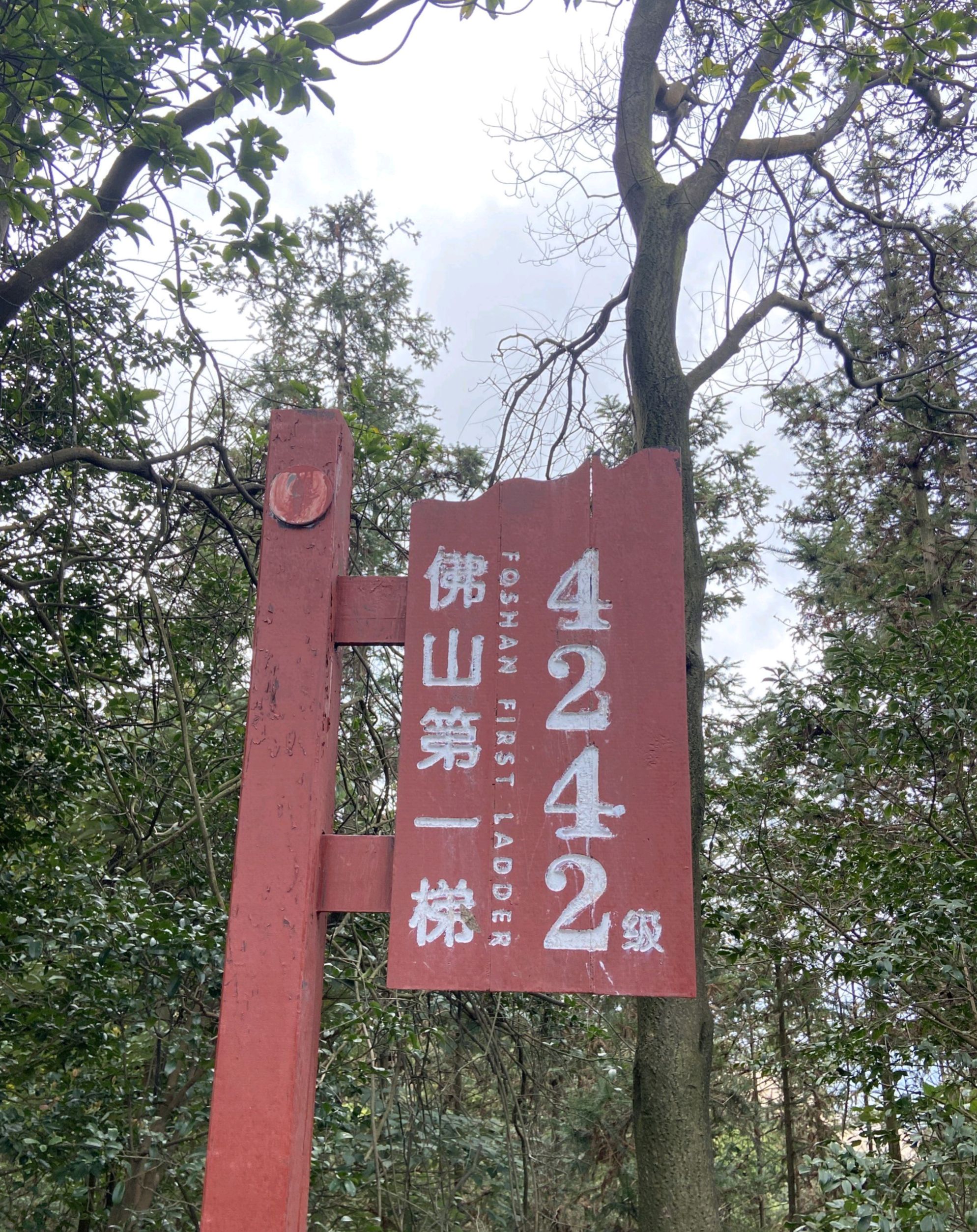 佛山第一峰旅行图片 1