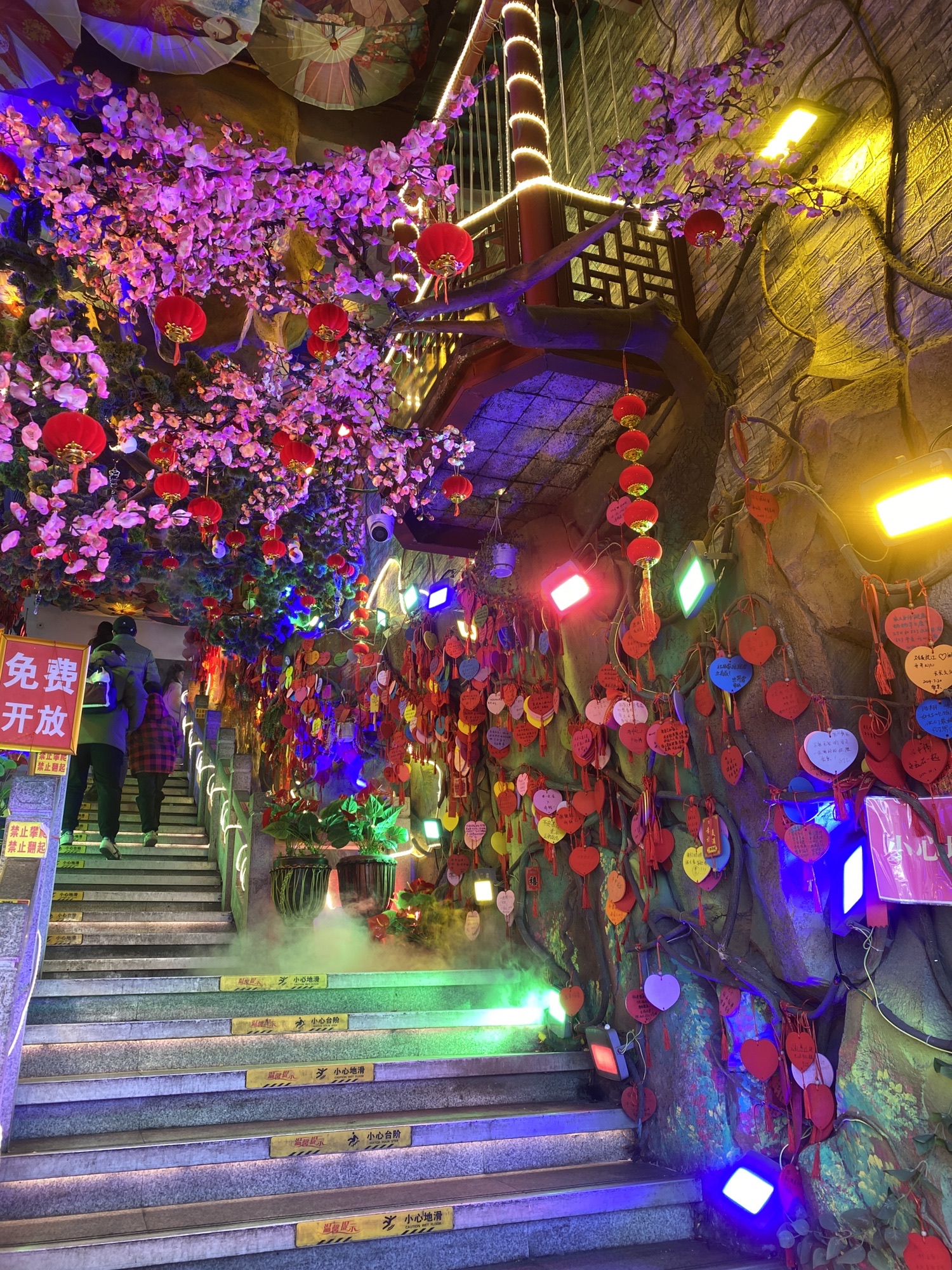 大观院旅行图片 2