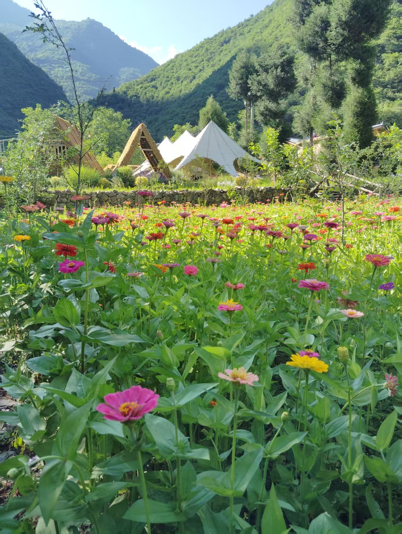 九寨沟养心谷旅游景区旅行图片 3