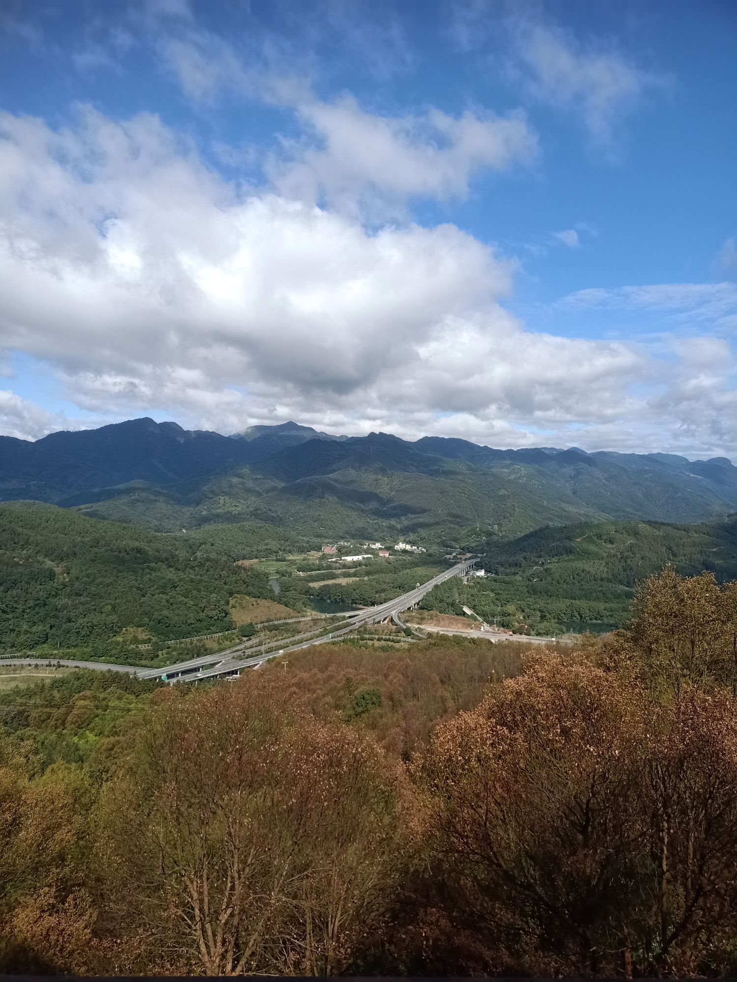 宁德植物园旅行图片 2