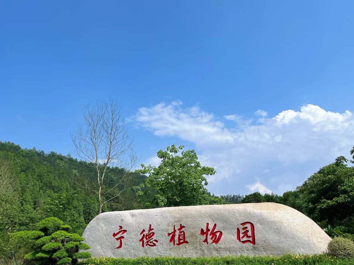 宁德植物园旅行图片 1