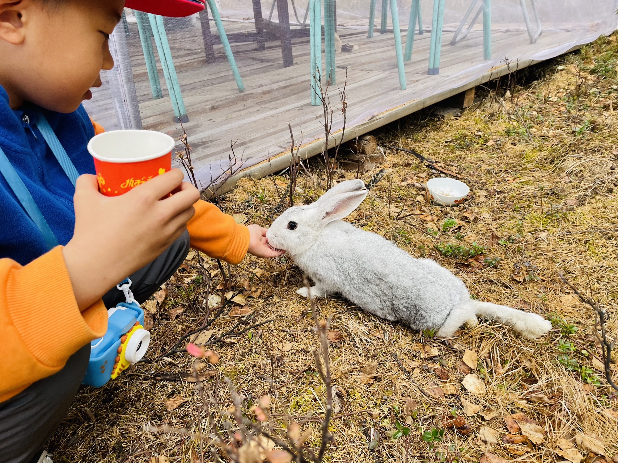 根河奥莉娅娜猎民点旅行图片 2