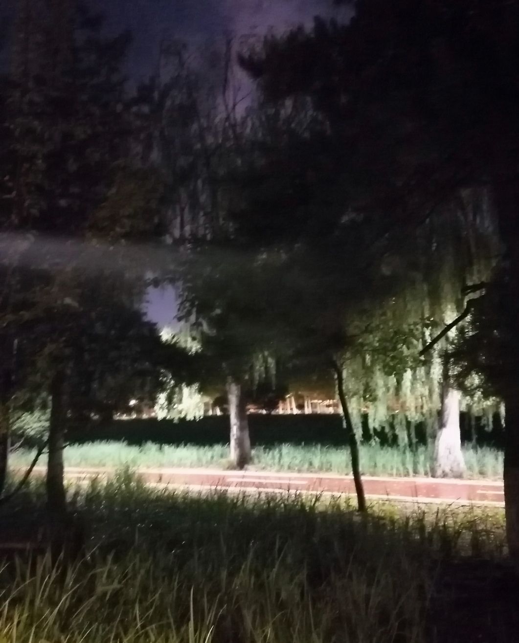 德胜园旅行图片 3