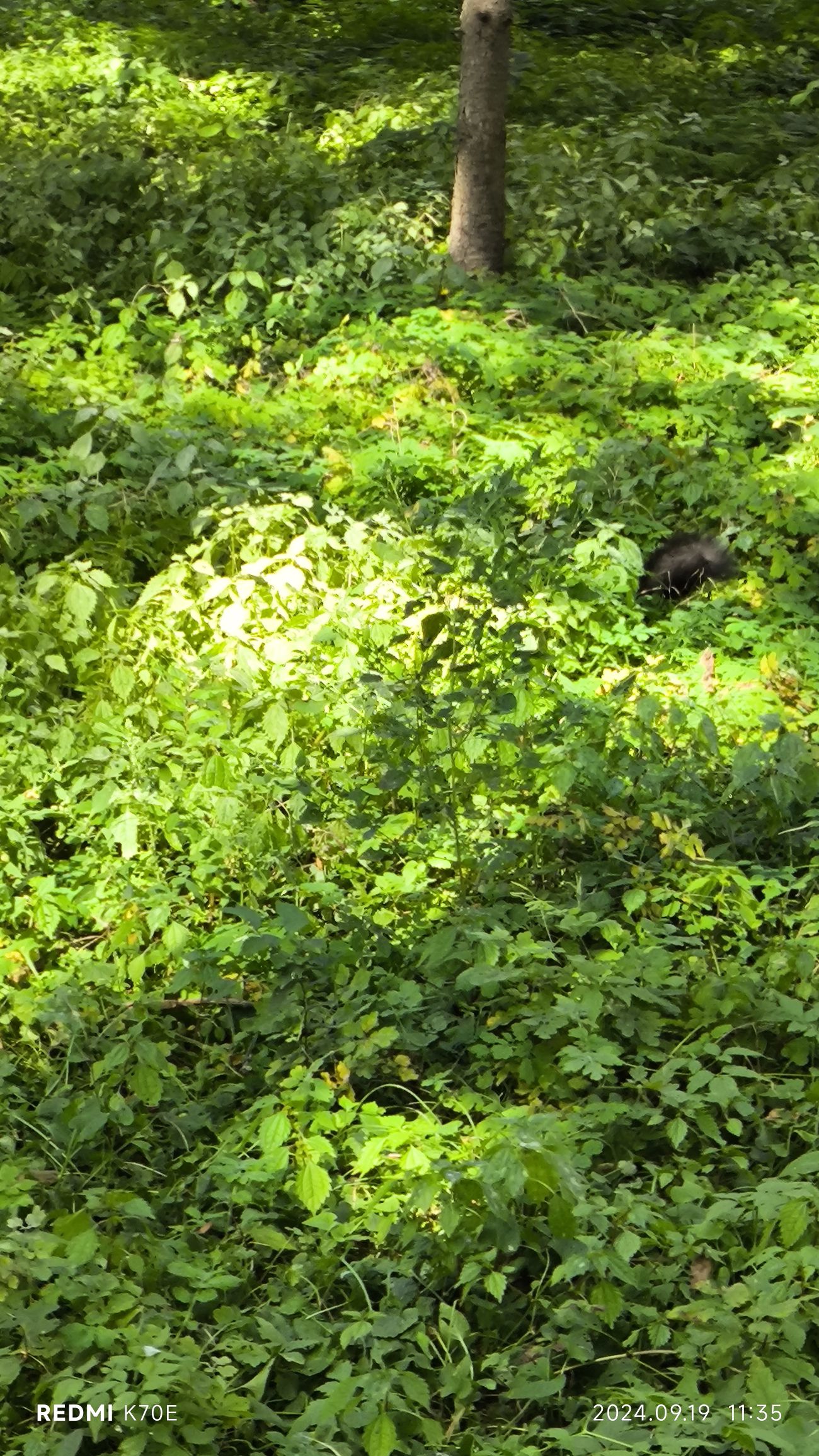 松鼠乐园旅行图片 1