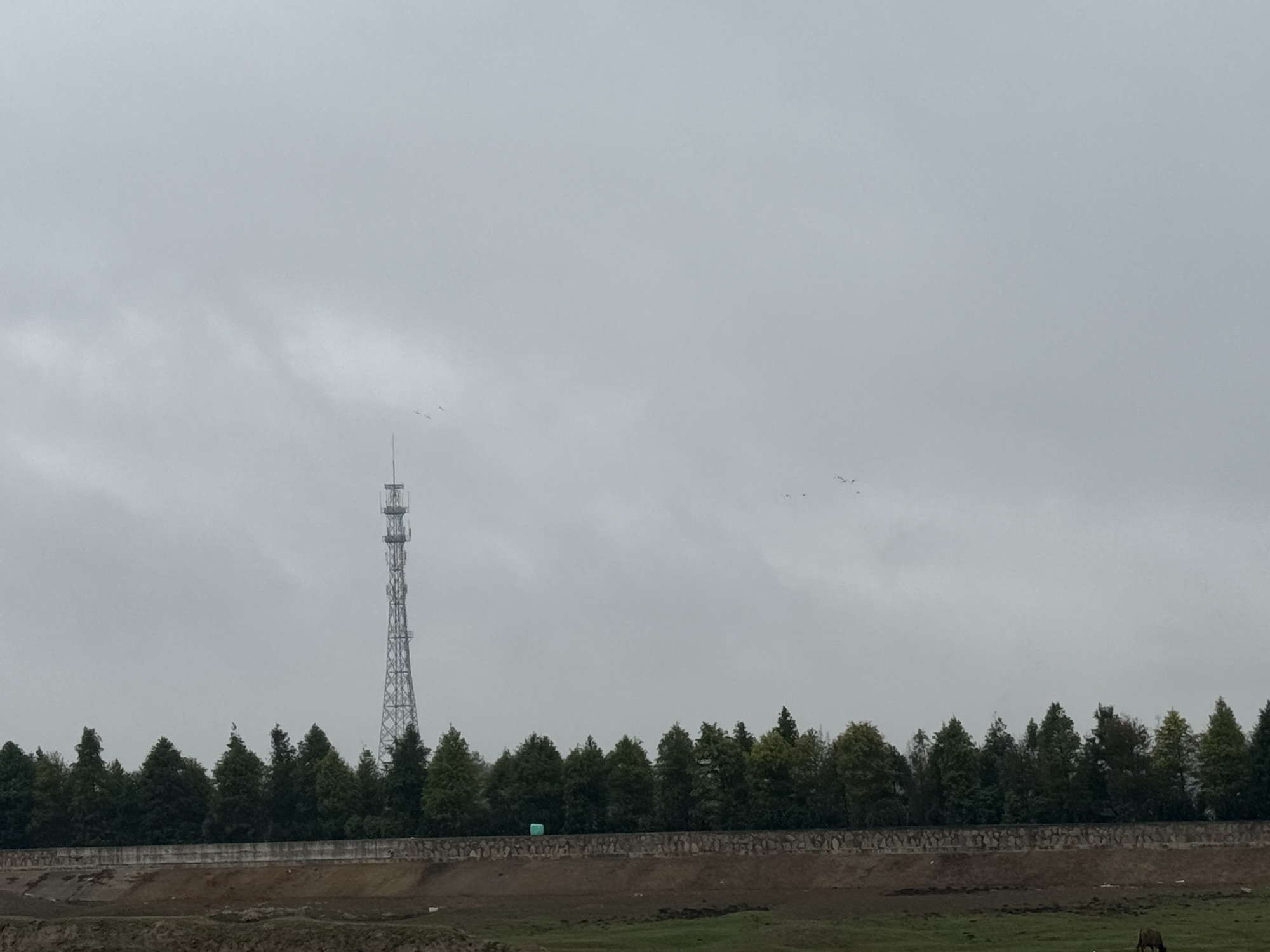 启东阿勒泰旅行图片 2