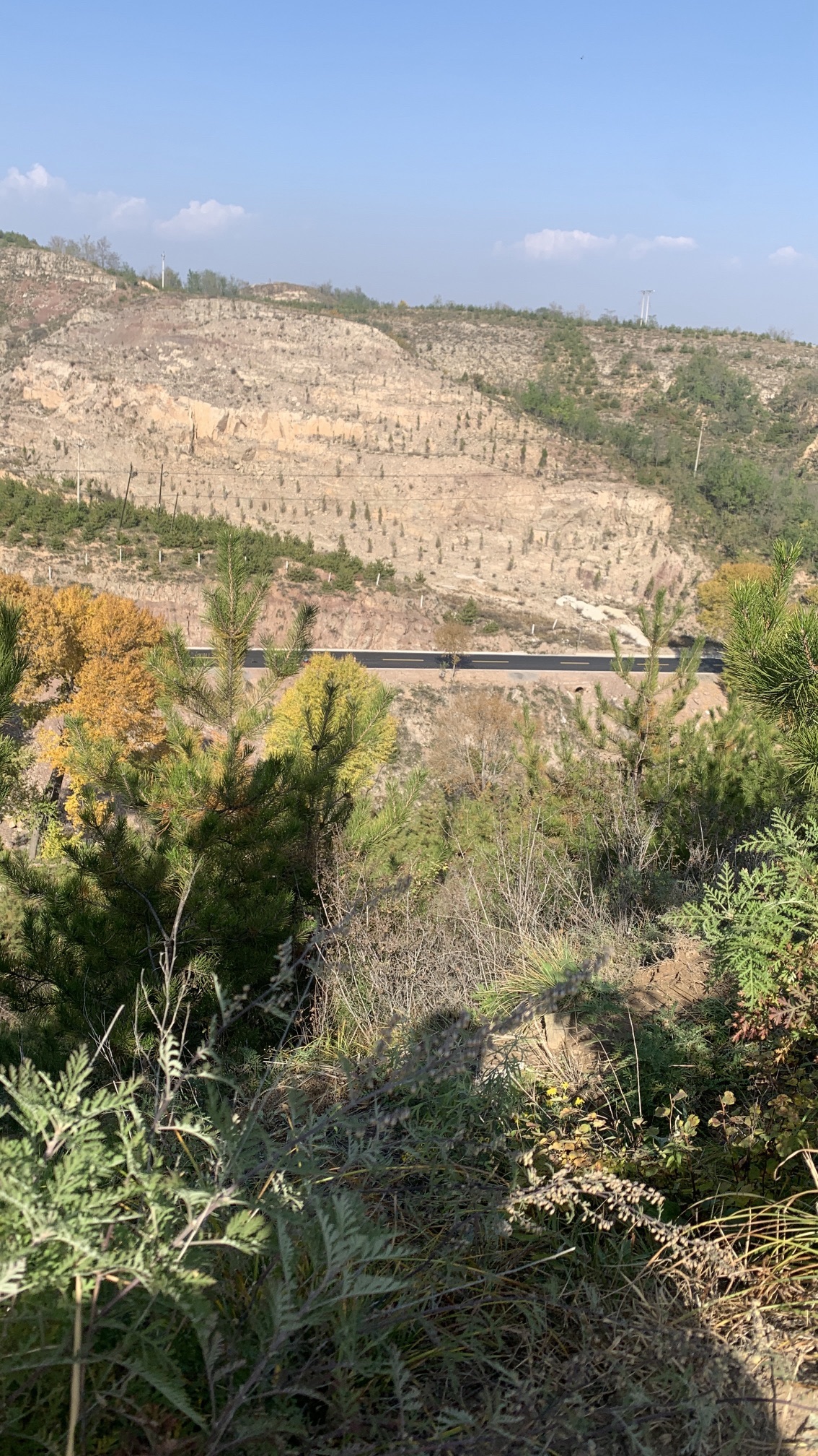 牛村山观景台旅行图片 1