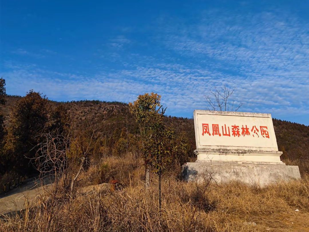 凤凰山森林公园旅行图片 1