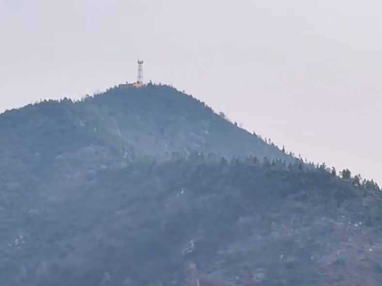 凤凰山森林公园旅行图片 2