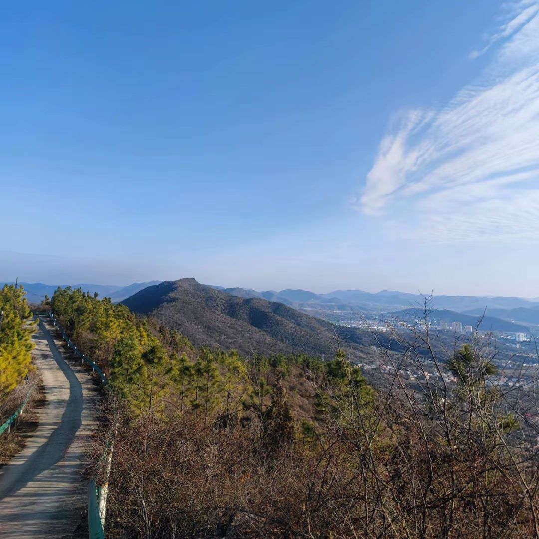 凤凰山森林公园旅行图片 3