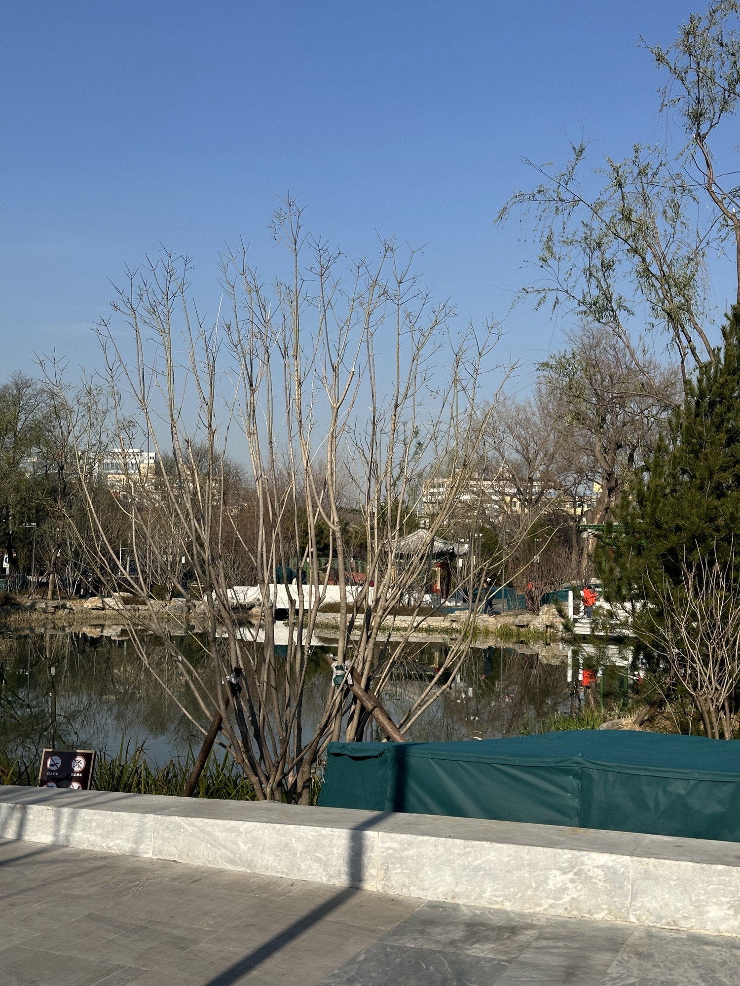 长椿苑公园旅行图片 2