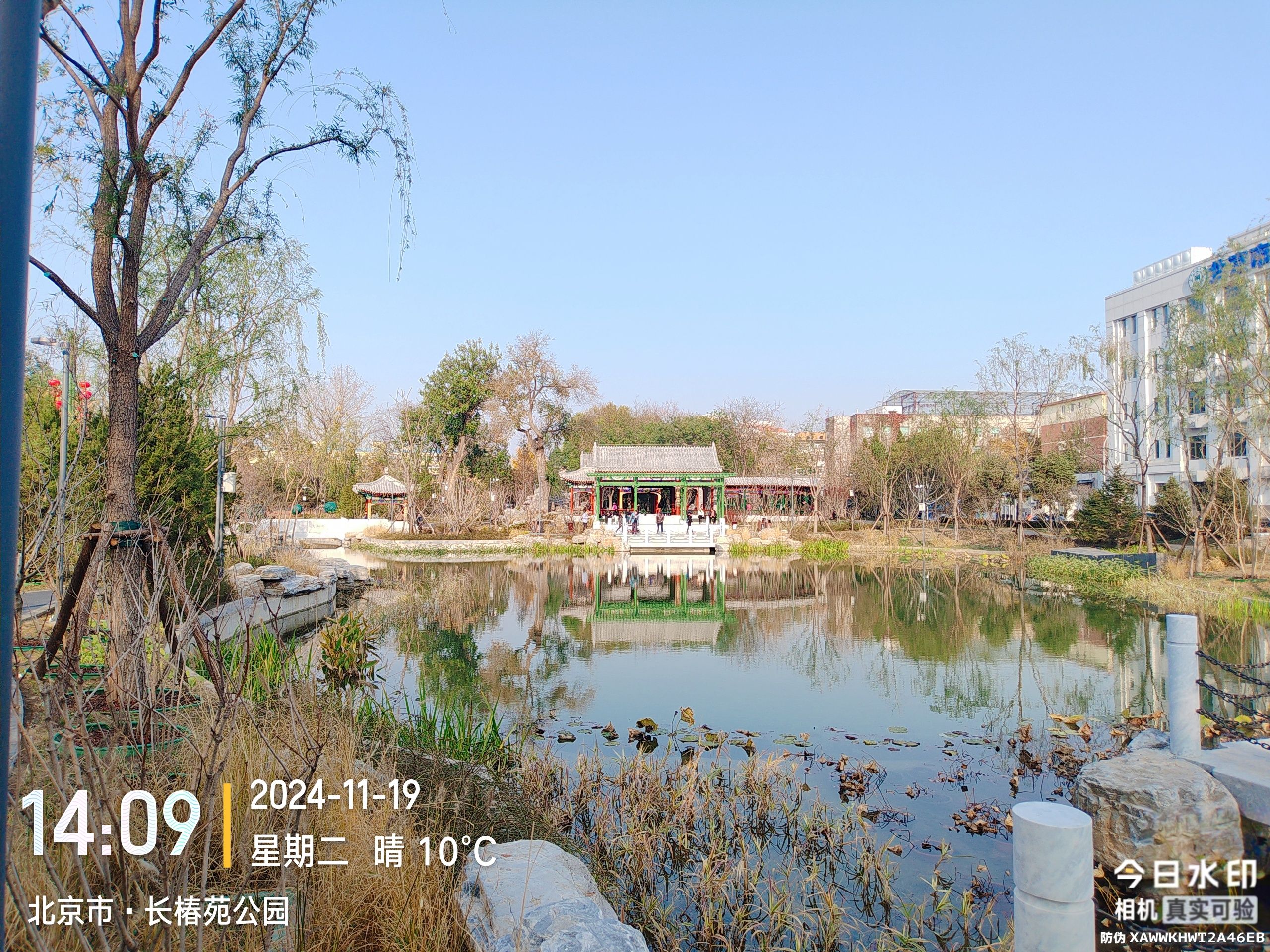 长椿苑公园旅行图片 3
