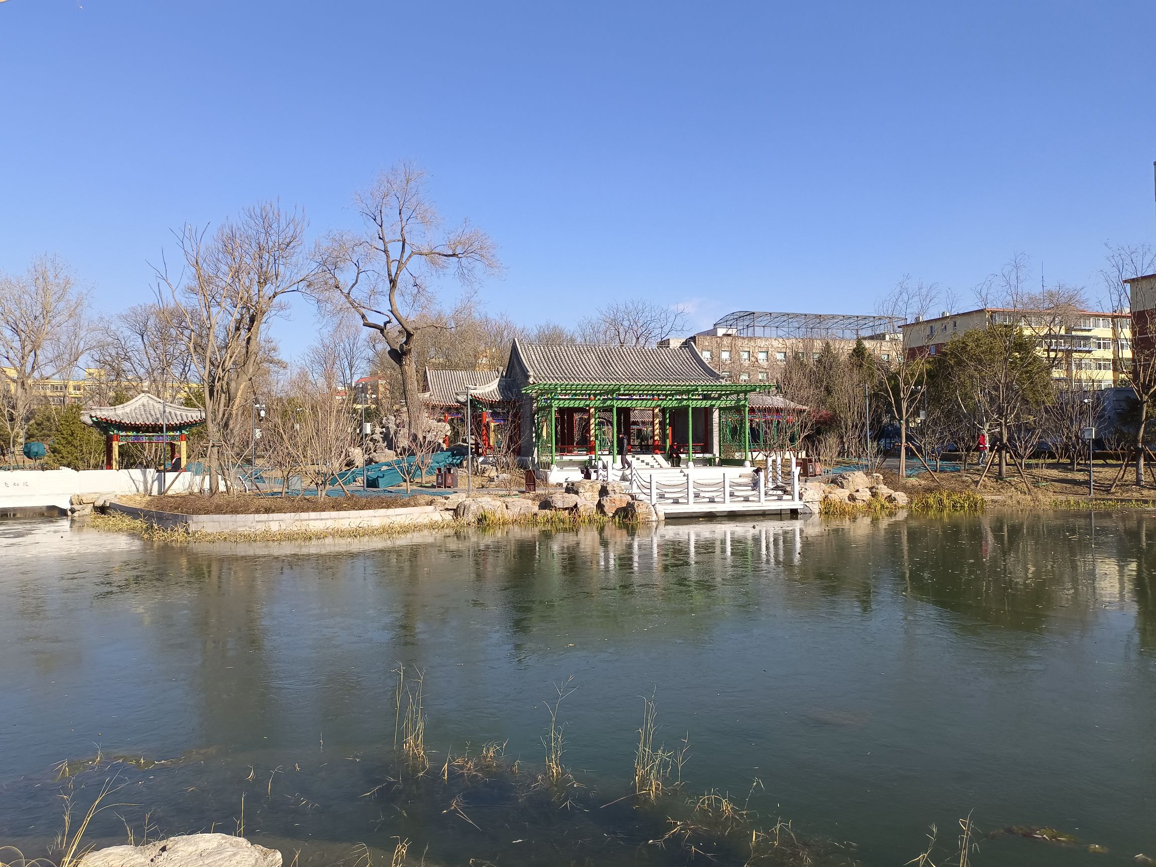 长椿苑公园旅行图片 3
