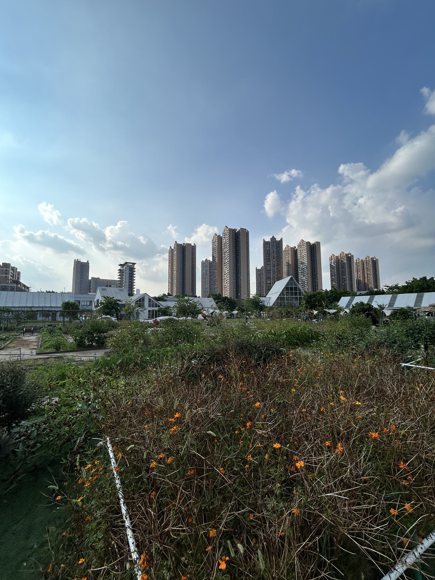 场地封面-嘻嘻团建·房车营地