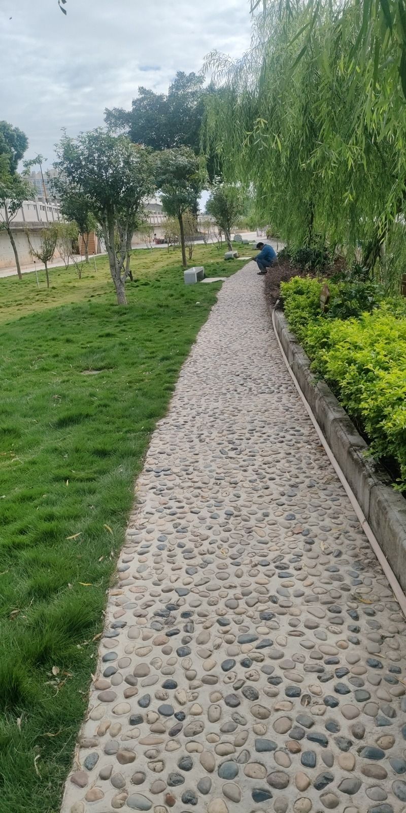 仙滘村姑宫湿地公园旅行图片 1