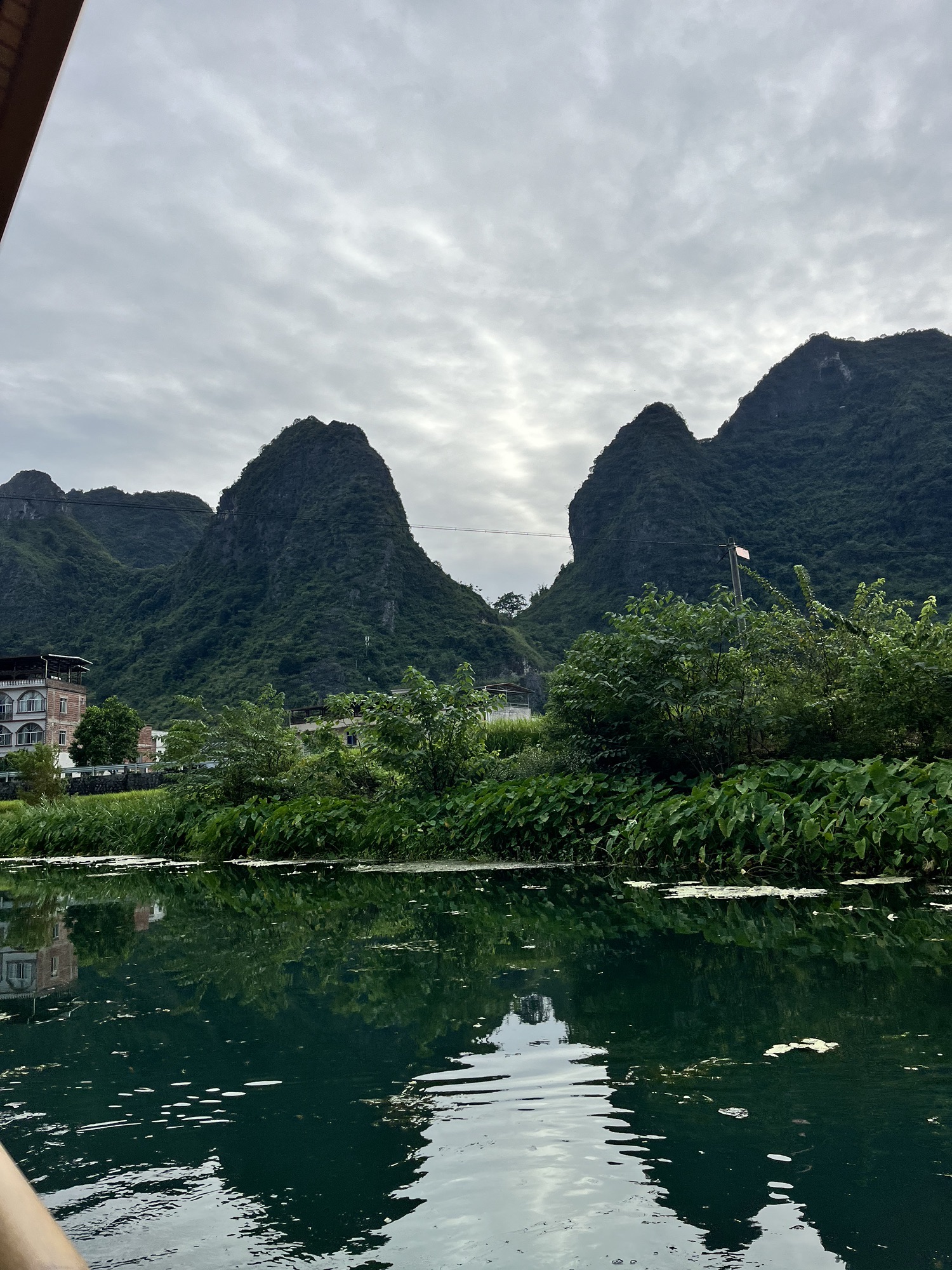 板内码头海菜花观赏点旅行图片 2