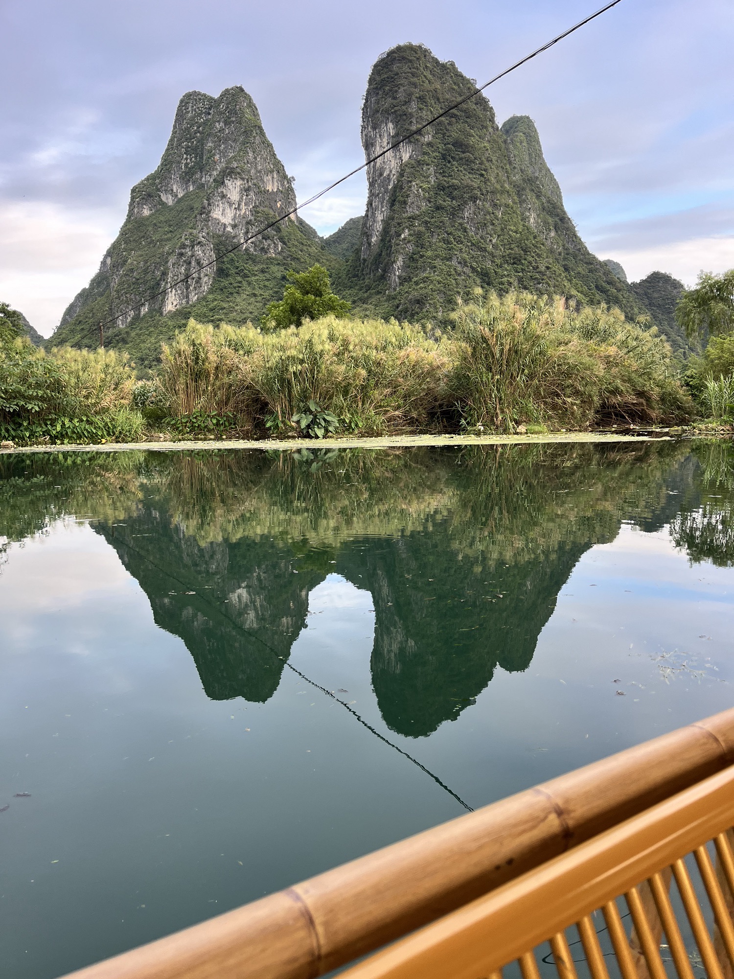 板内码头海菜花观赏点旅行图片 1