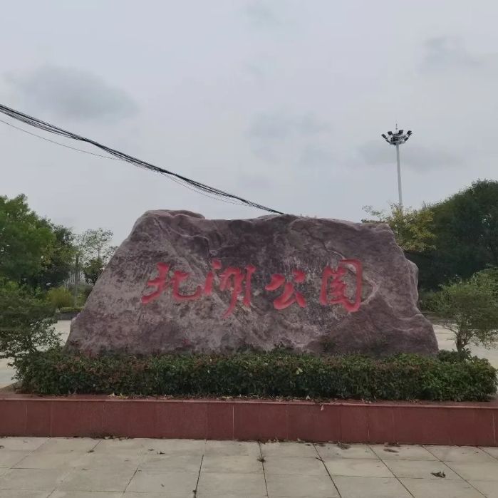 北湖公园水杉林旅行图片 1
