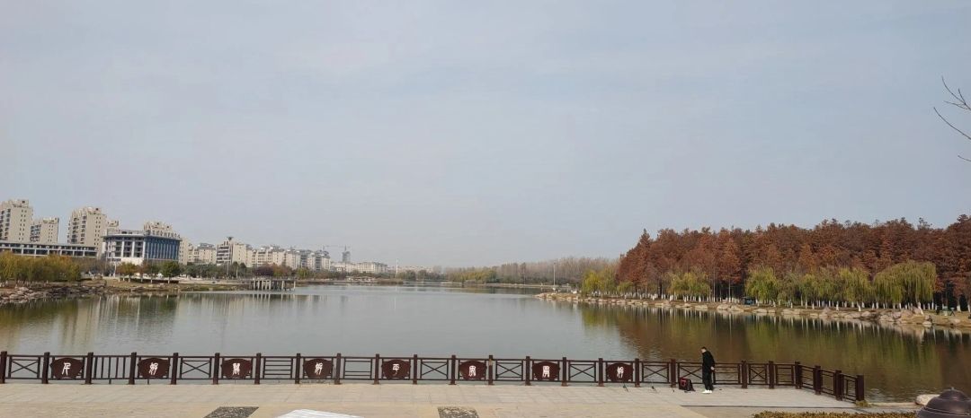 北湖公园水杉林旅行图片 2