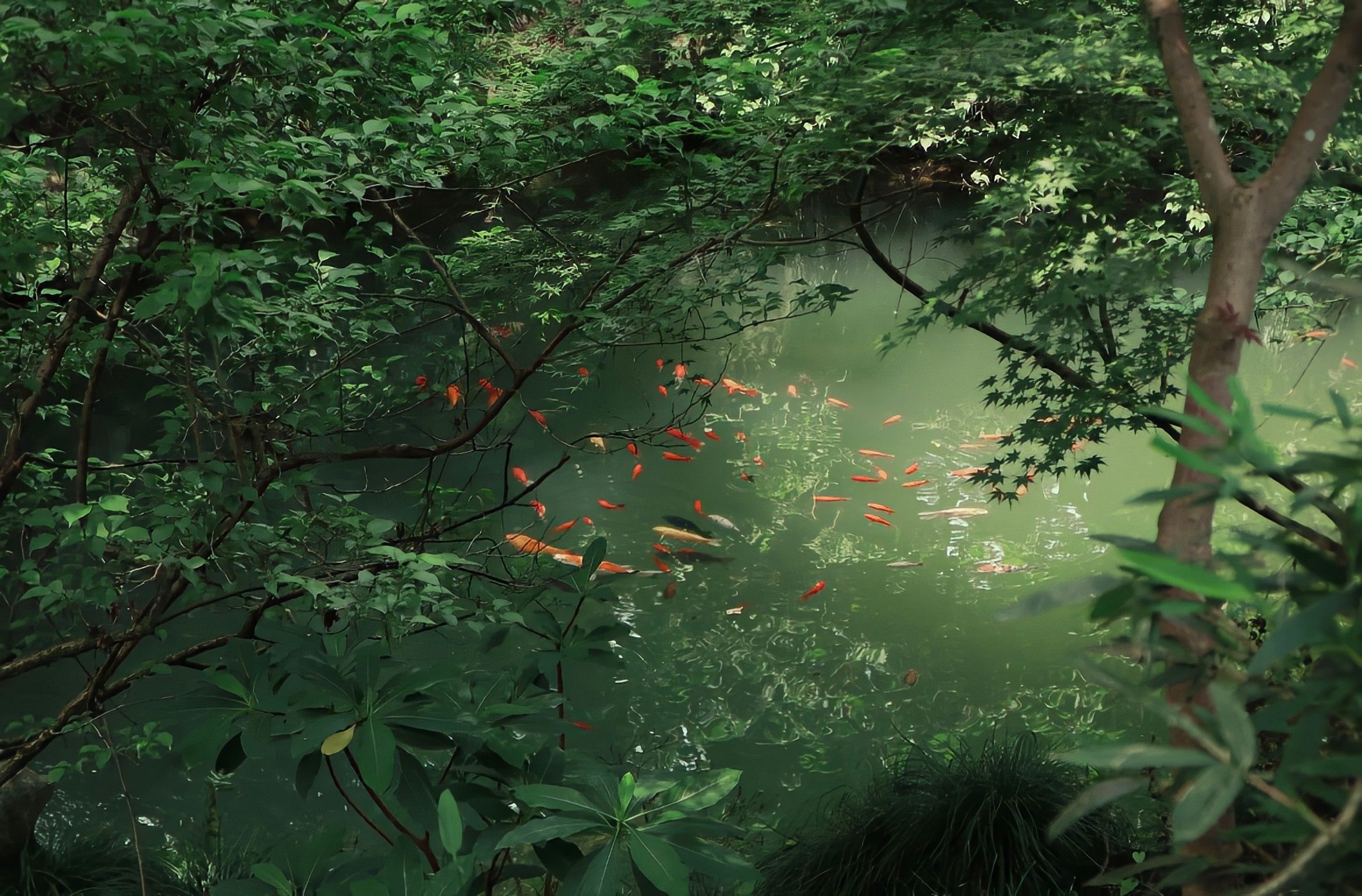柳州网红花墙打卡点旅行图片 2