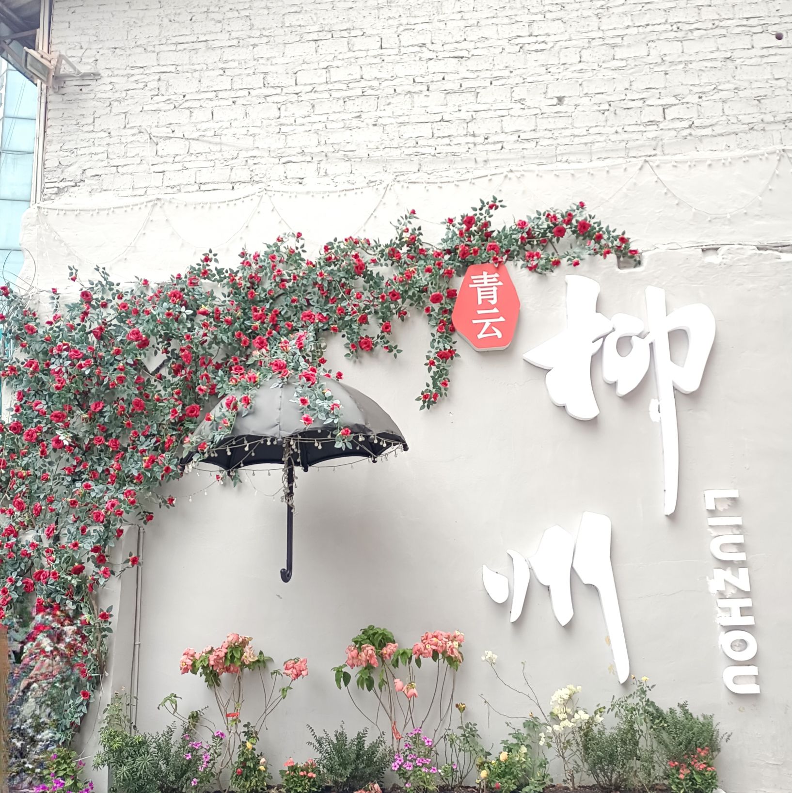 柳州网红花墙打卡点旅行图片 1
