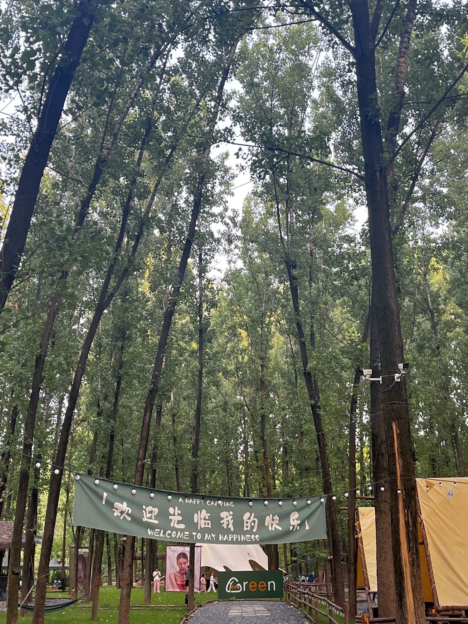 场地封面-Green森林营地