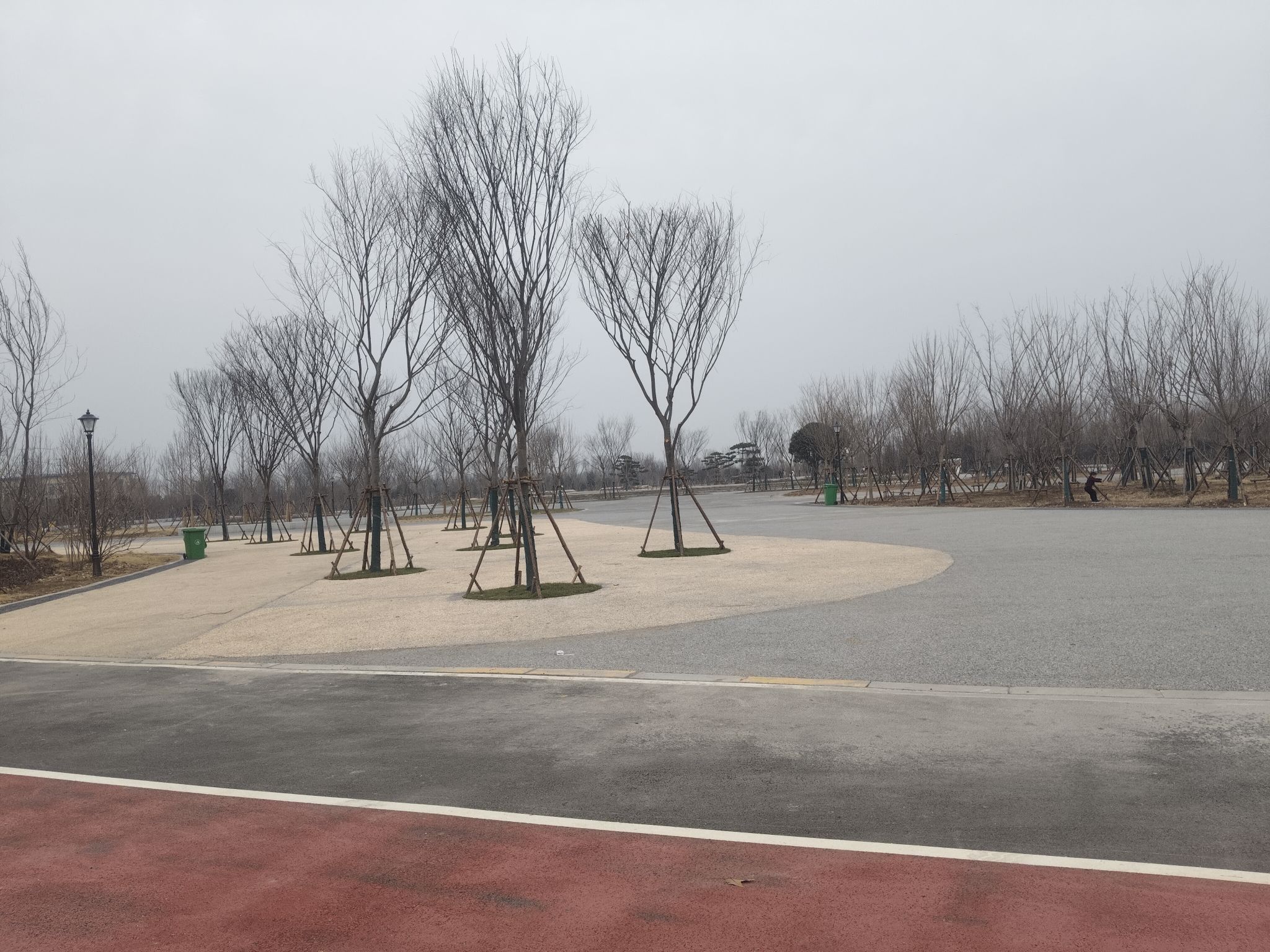 沙河湾森林公园旅行图片 3