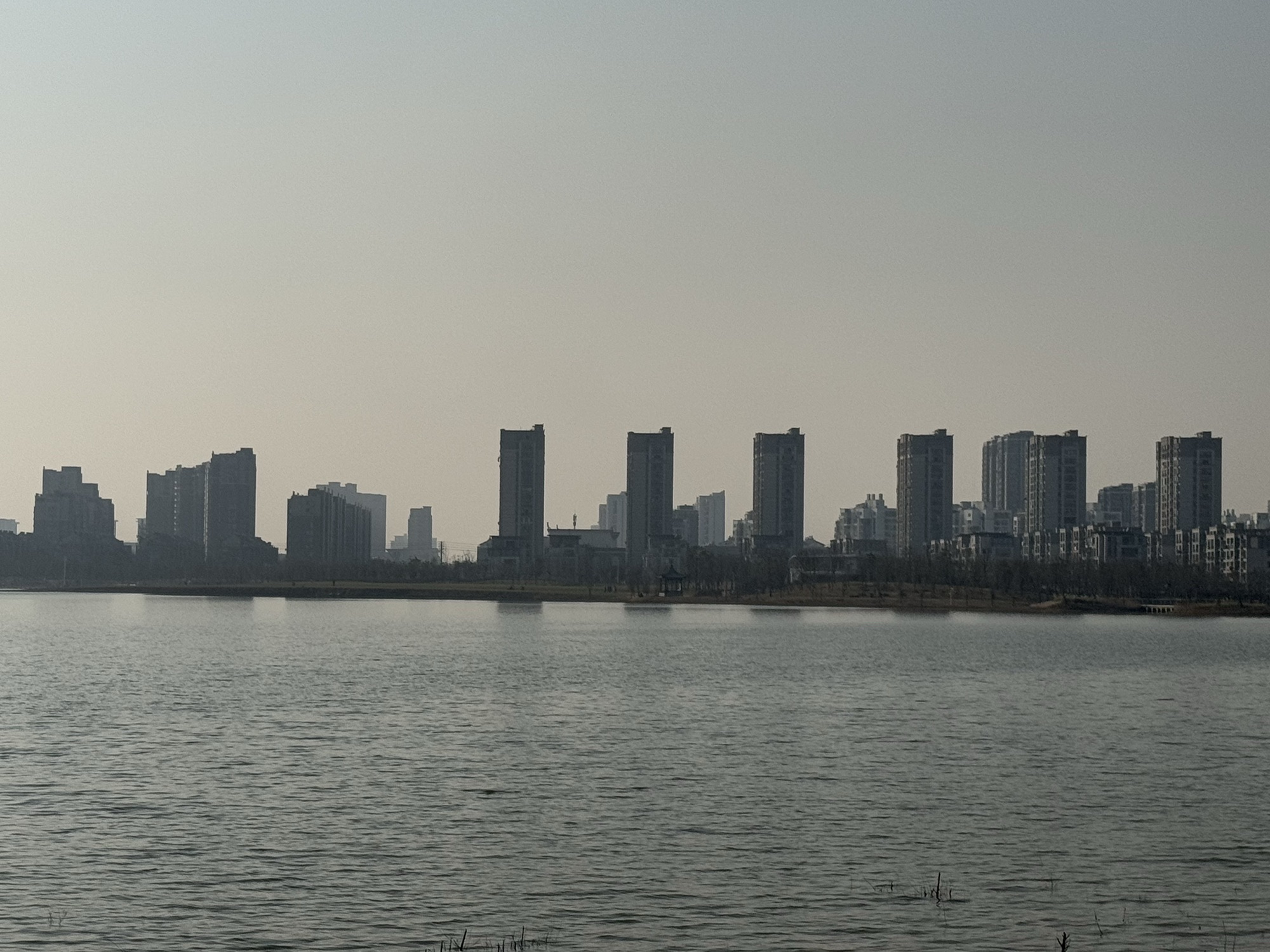 东湖生态公园旅行图片 2