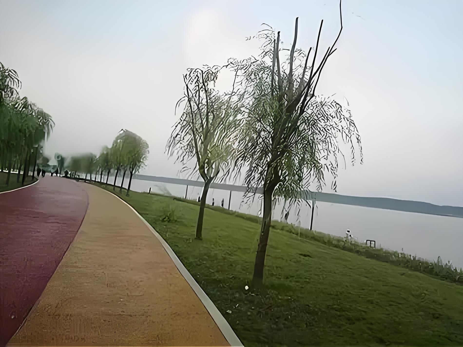 东湖生态公园旅行图片 3