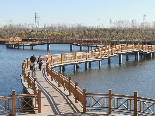 东湖生态公园旅行图片 1