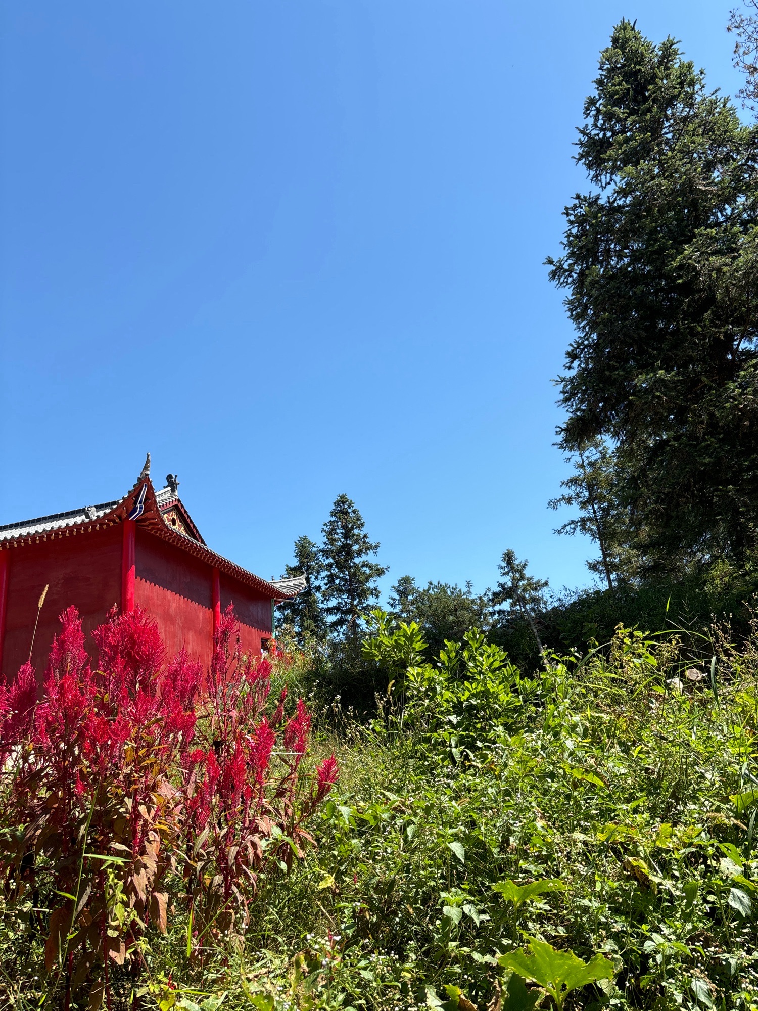 宝盖仙旅行图片 3