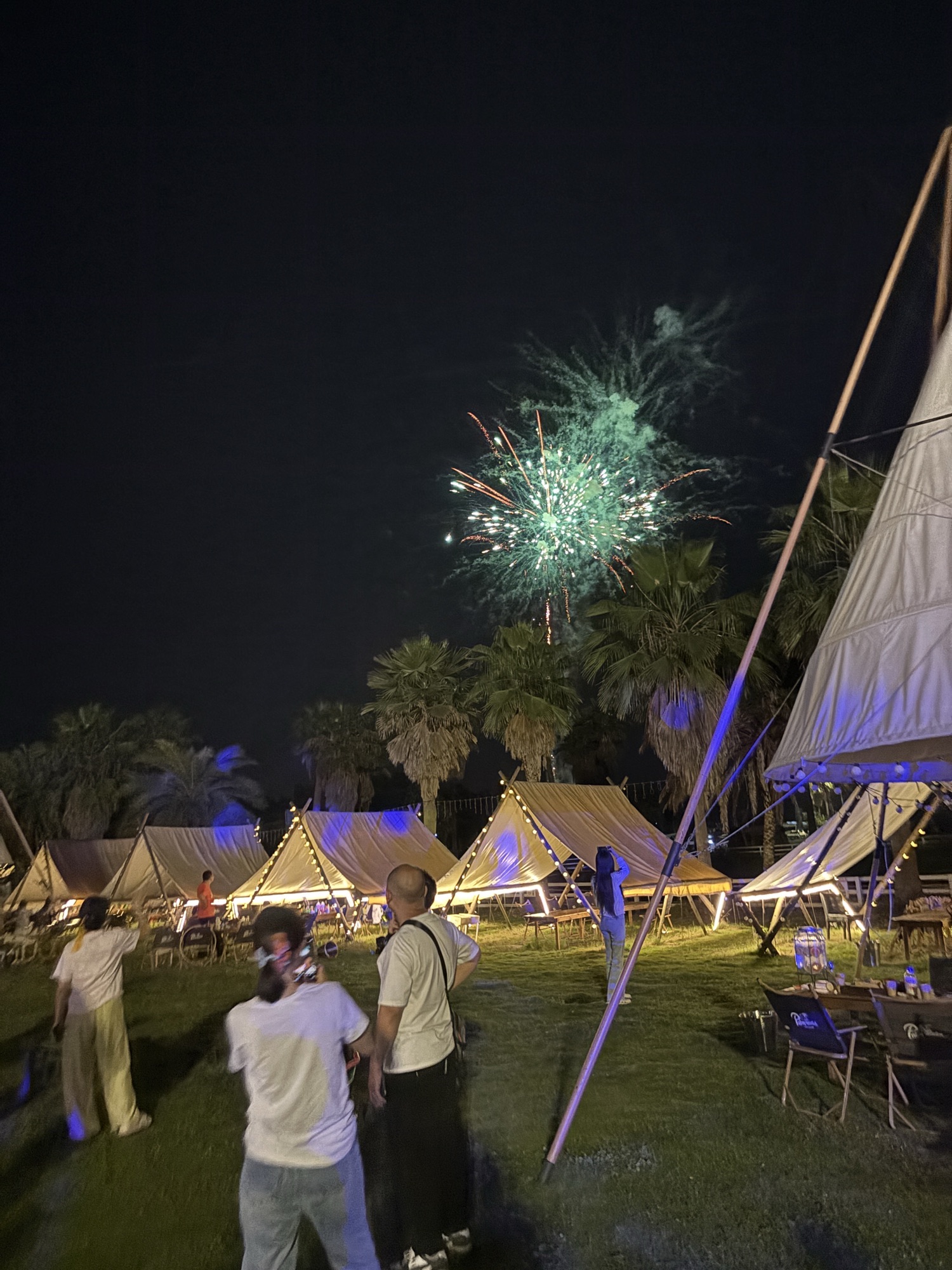 场地封面-成都棕榈世界露营地