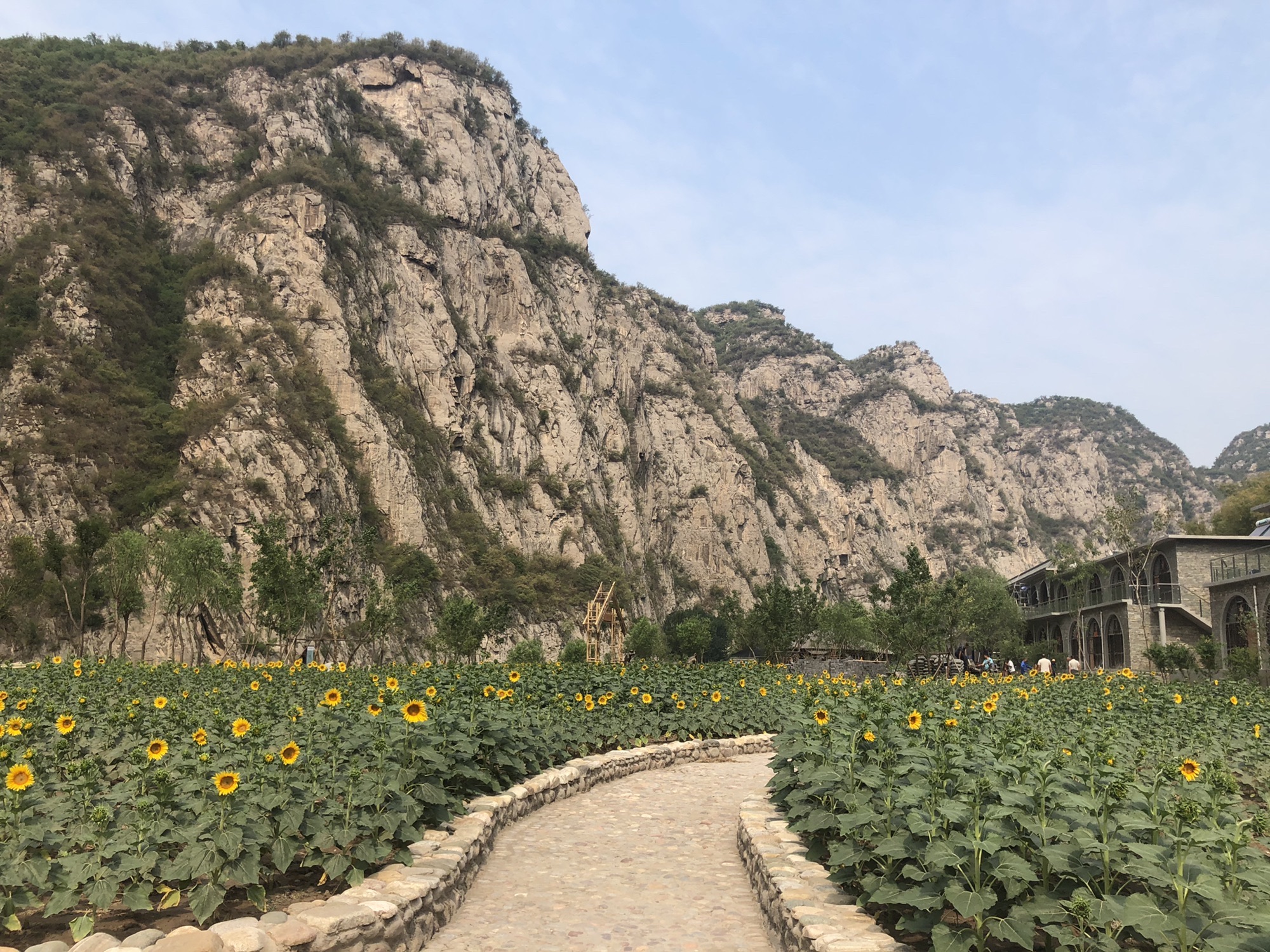 漳河湾风景区旅行图片 3